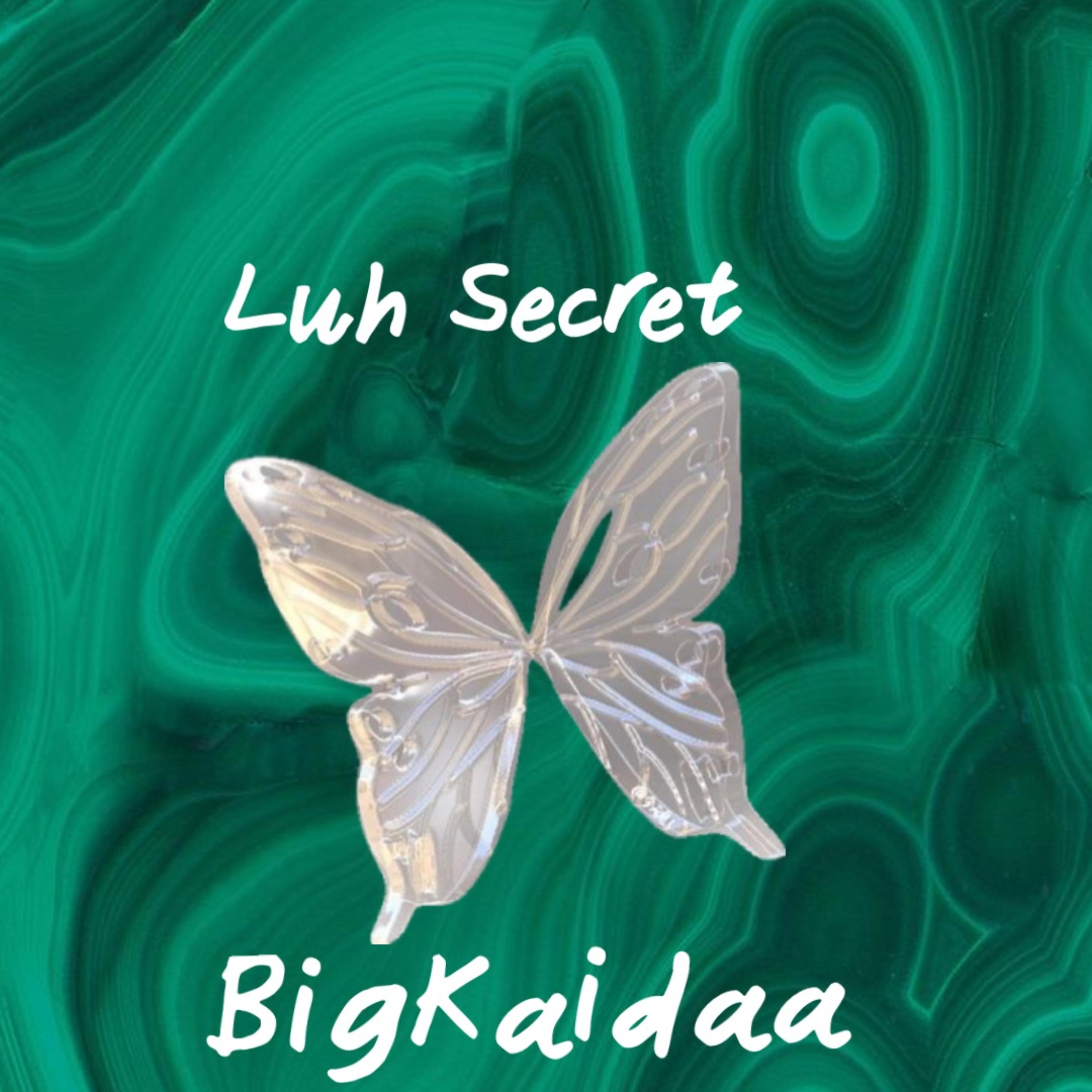 Luh Secret artwork