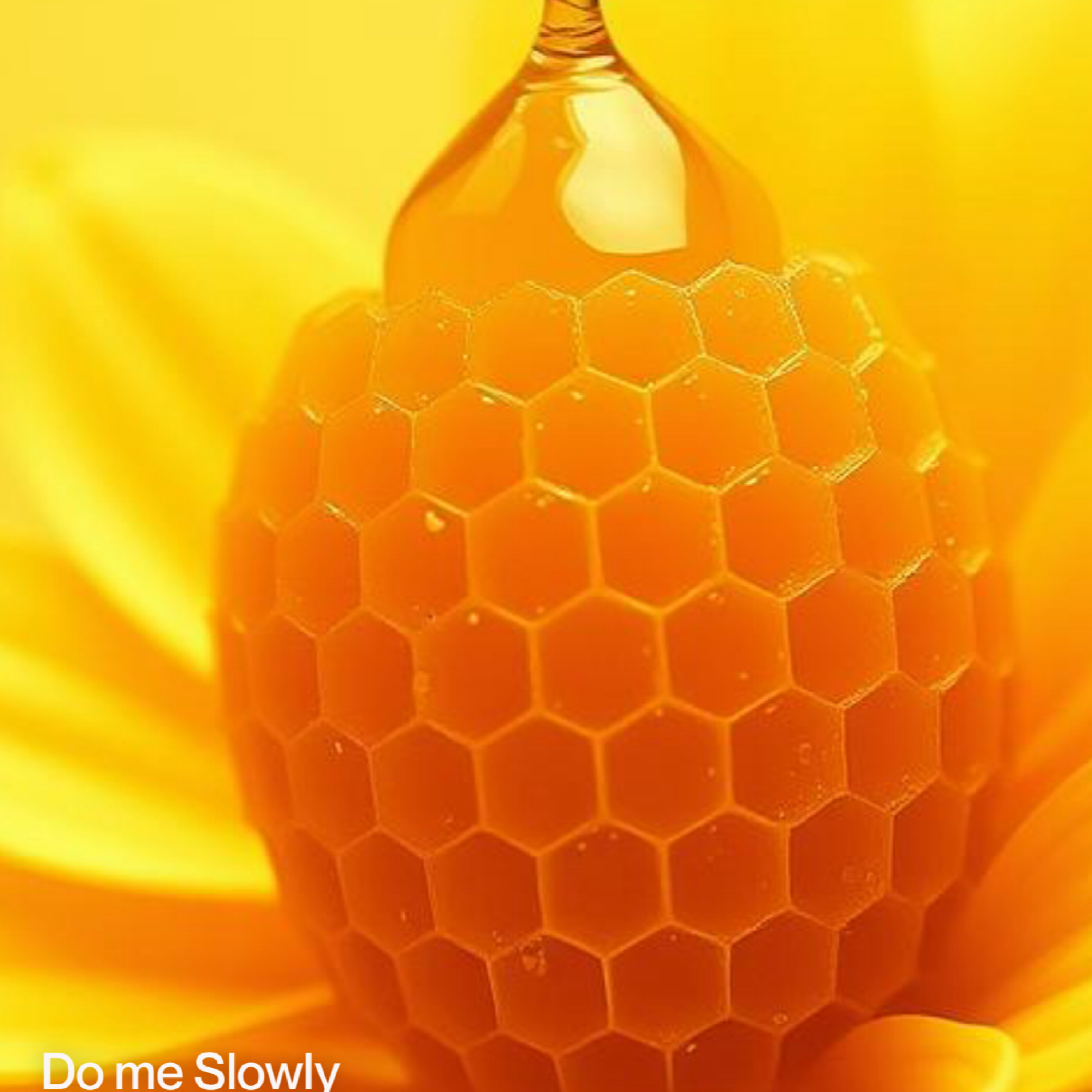 Do Me Slowly artwork