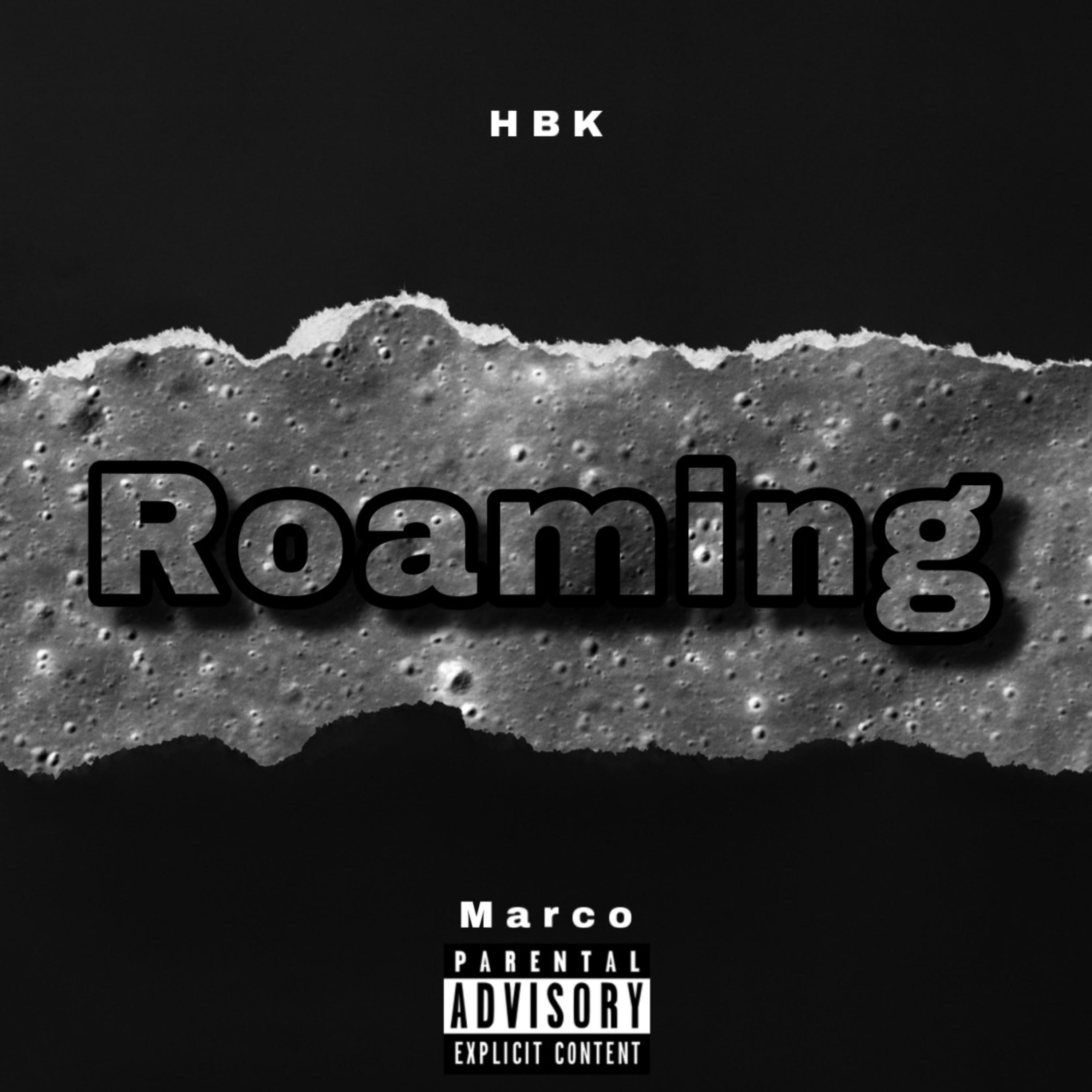 Roaming artwork