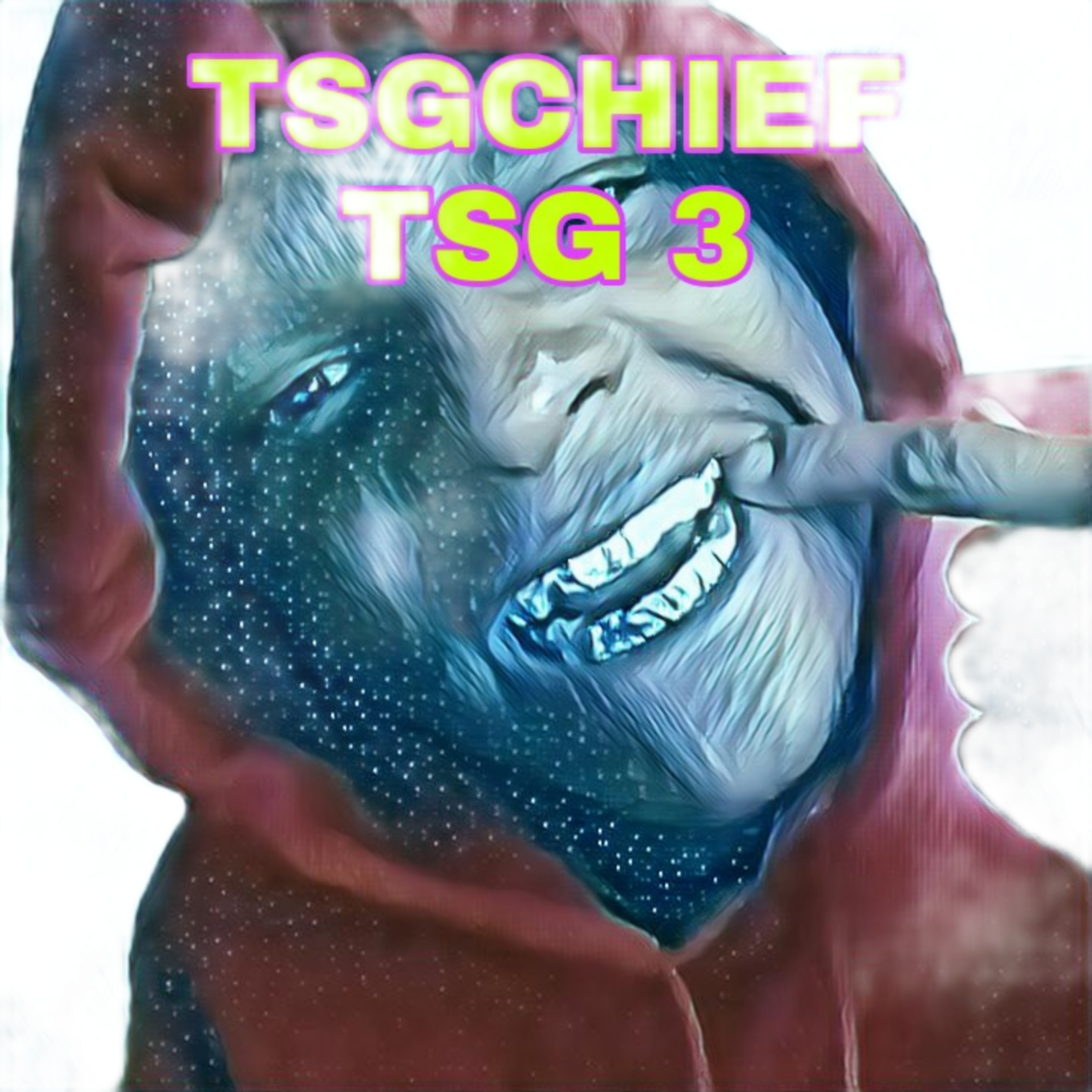 TSG 3 artwork