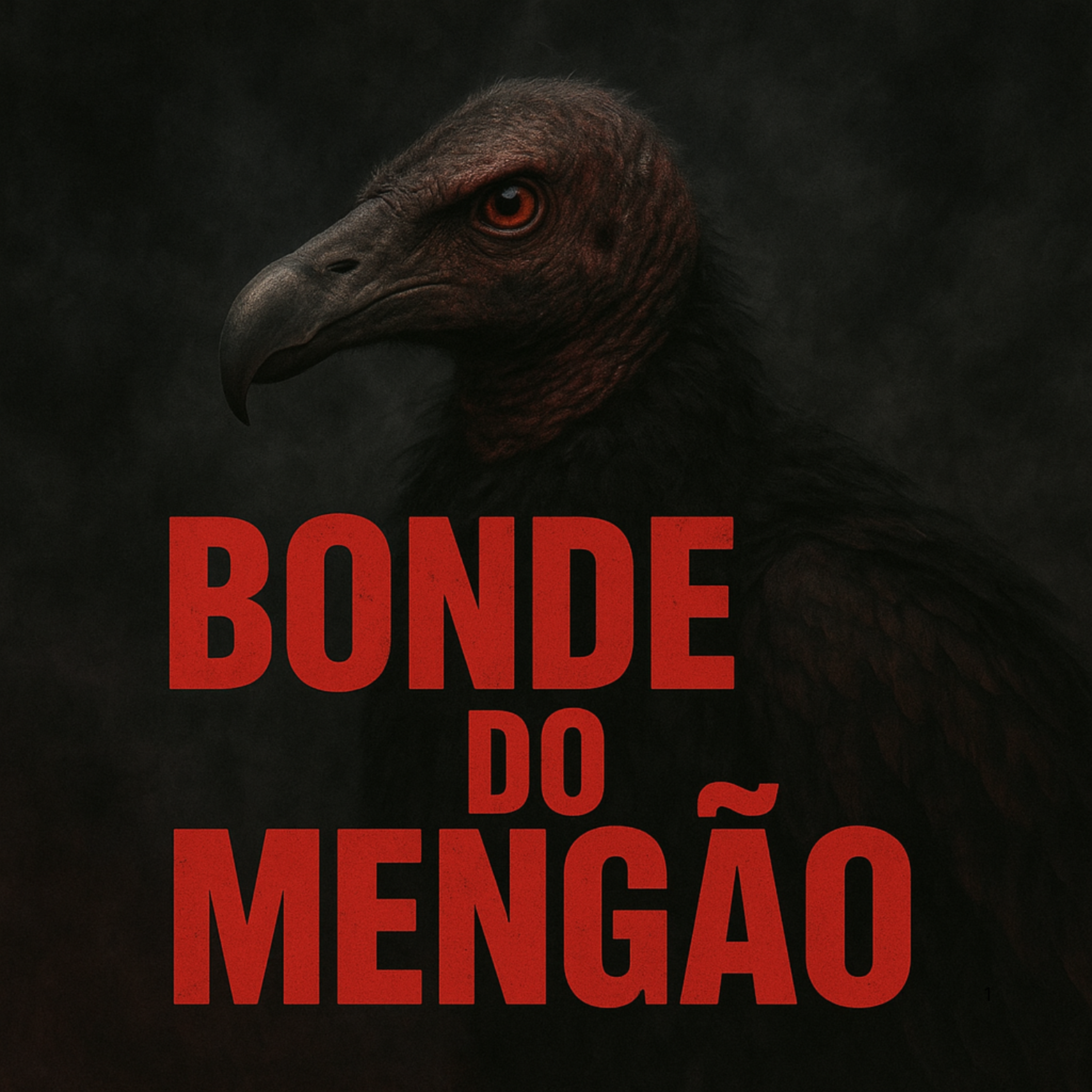 Bonde do mengão artwork