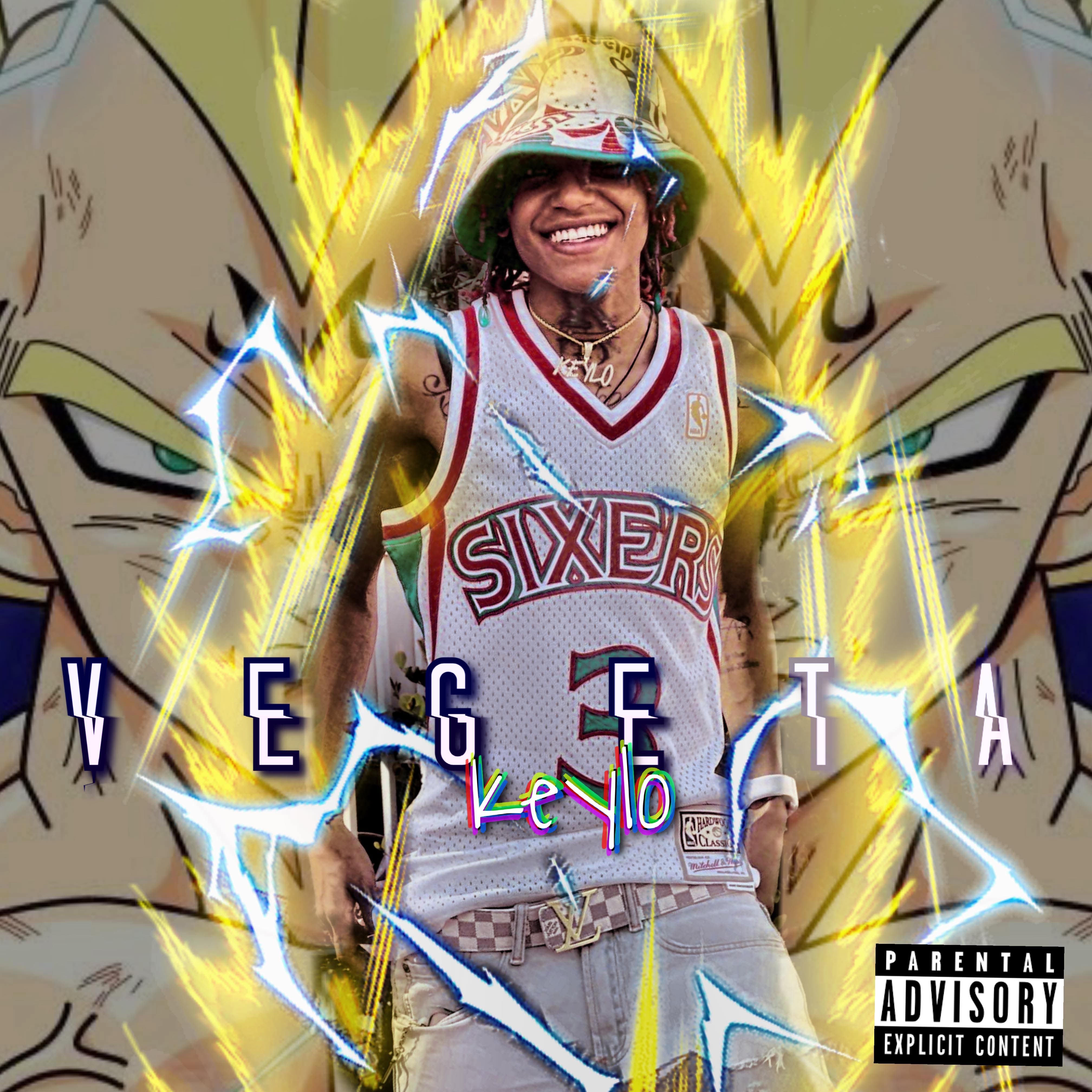 Vegeta artwork