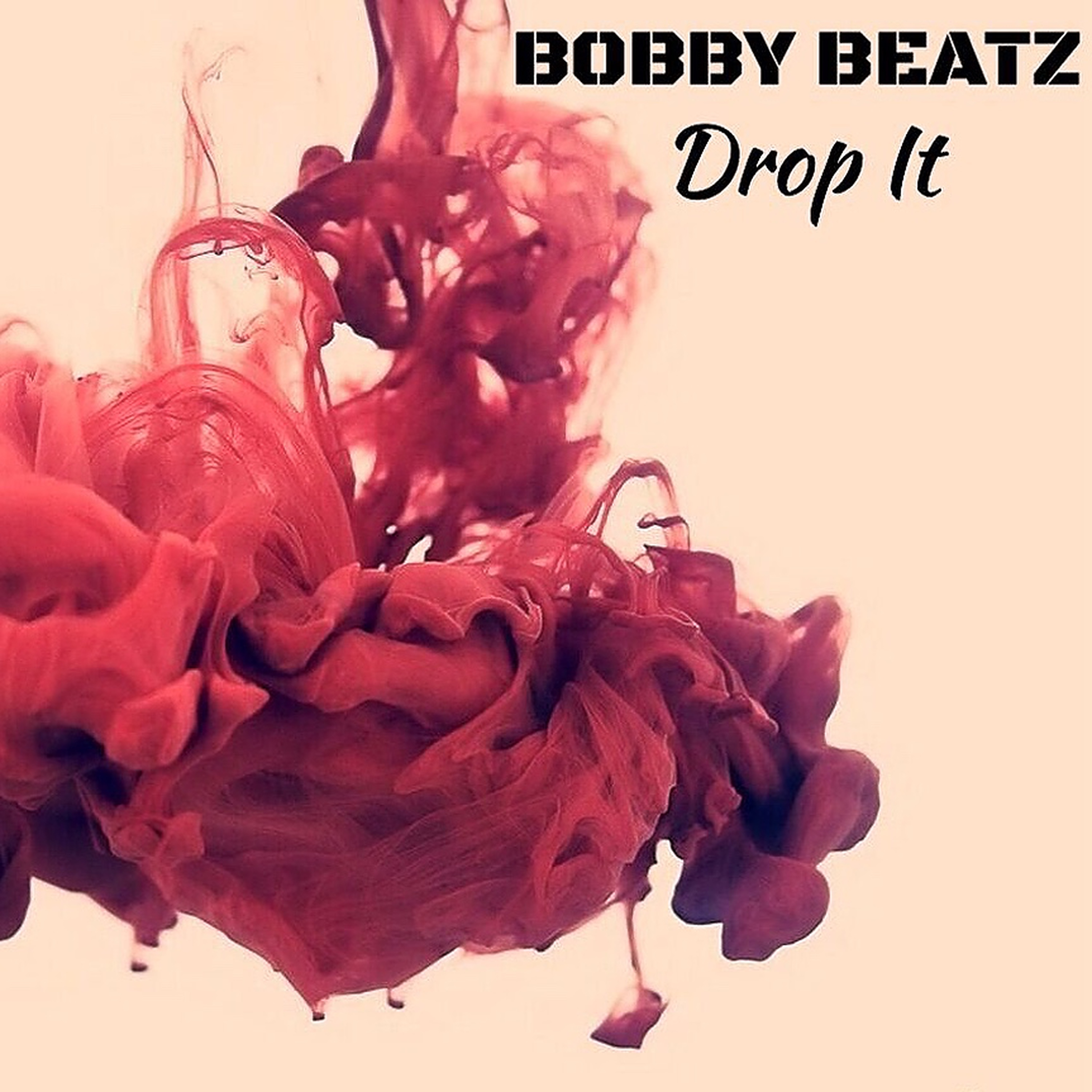 Drop It artwork