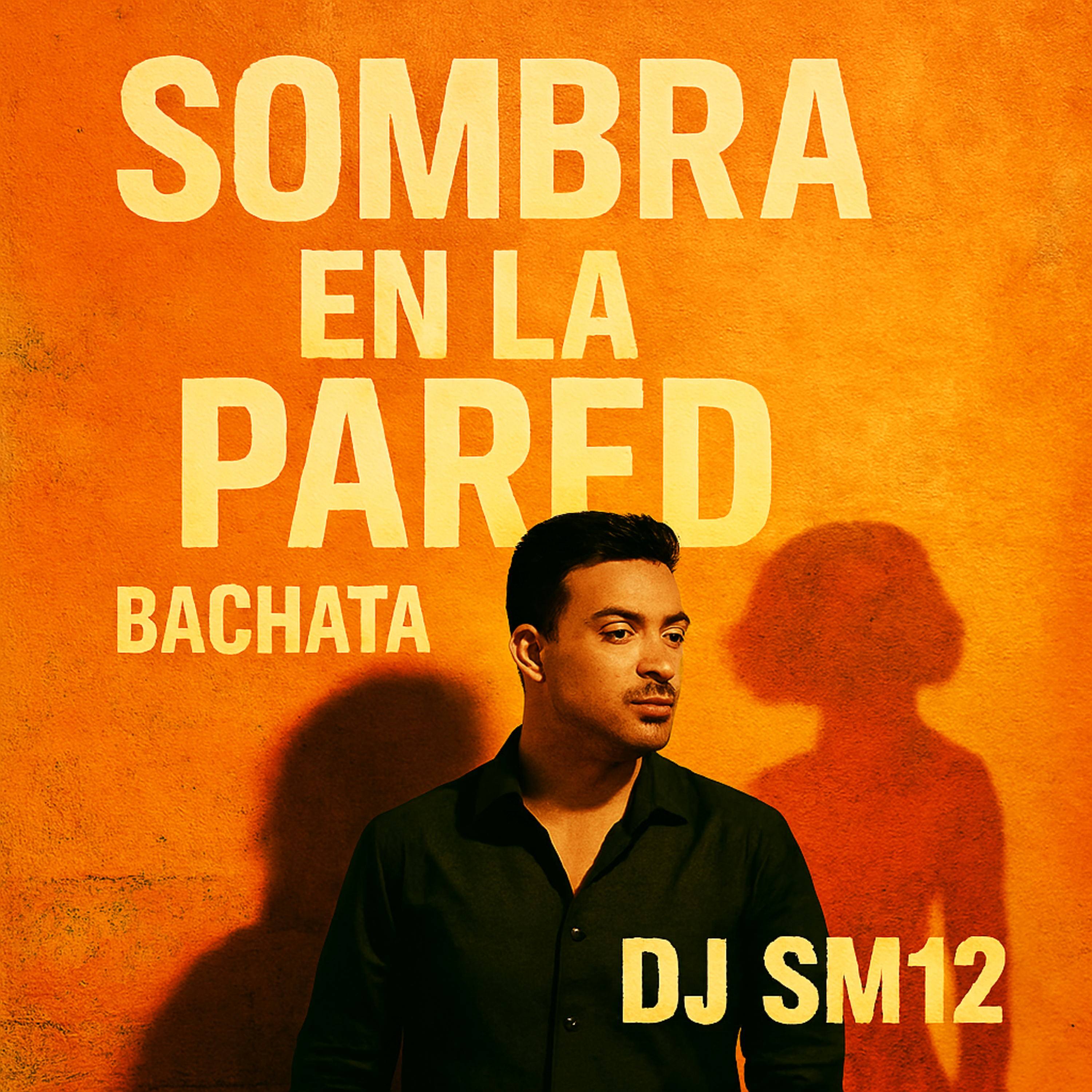 Sombra en la Pared artwork
