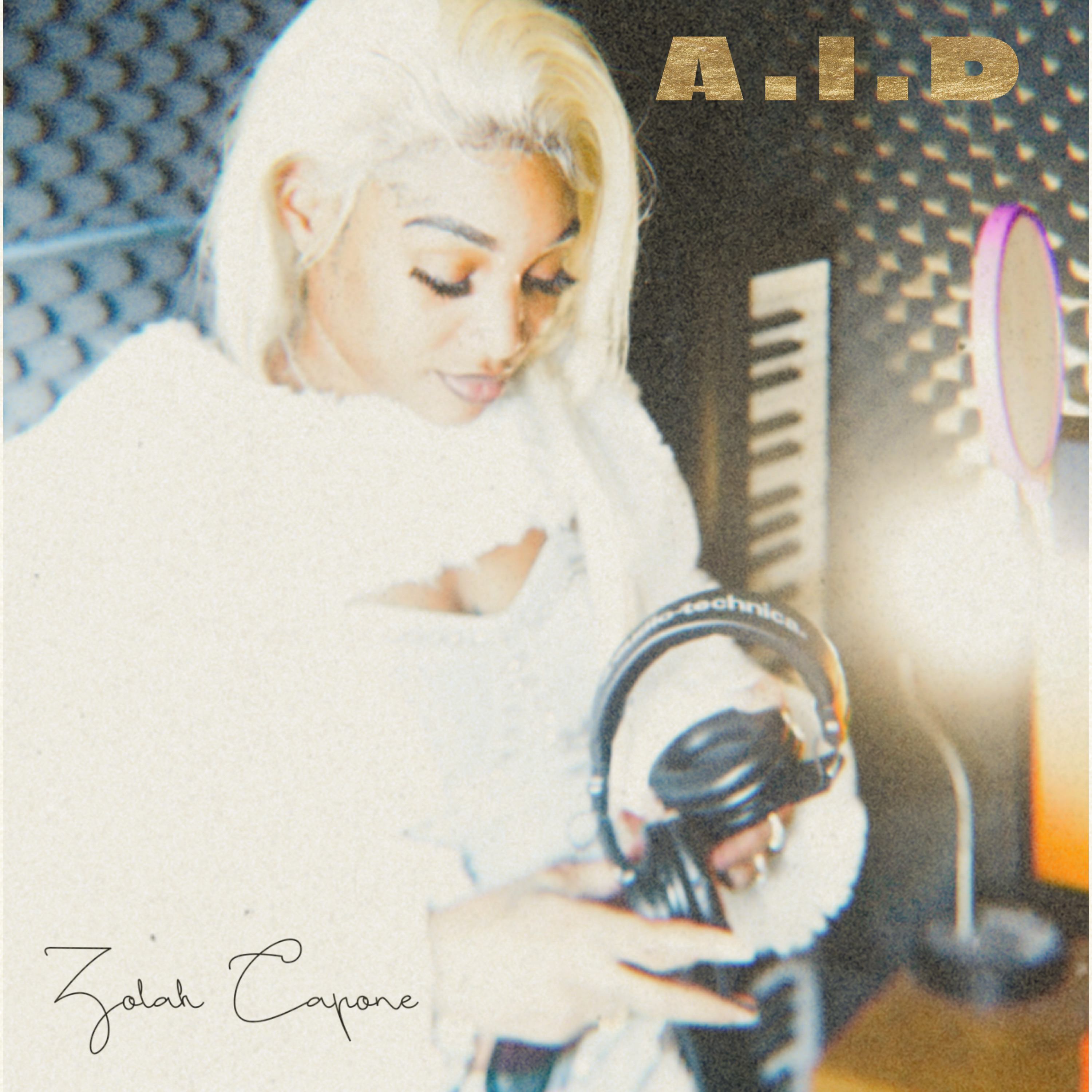 A.I.D artwork