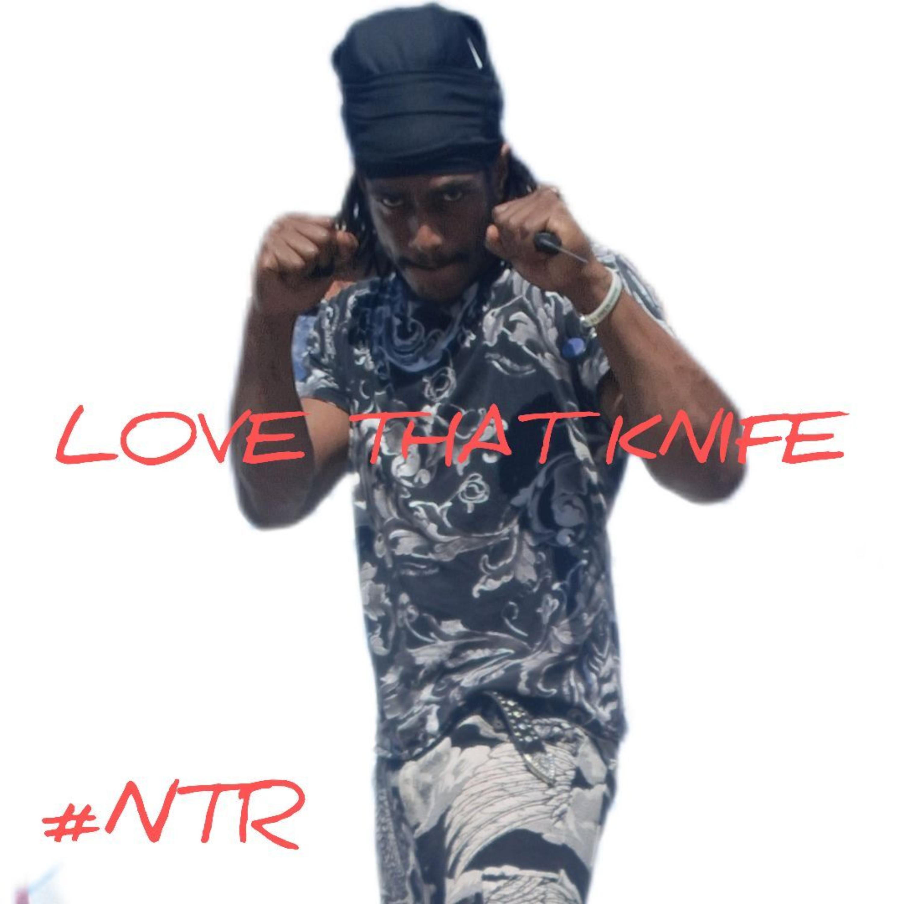 LOVE THAT KNIF3 by Nino Armani cover art