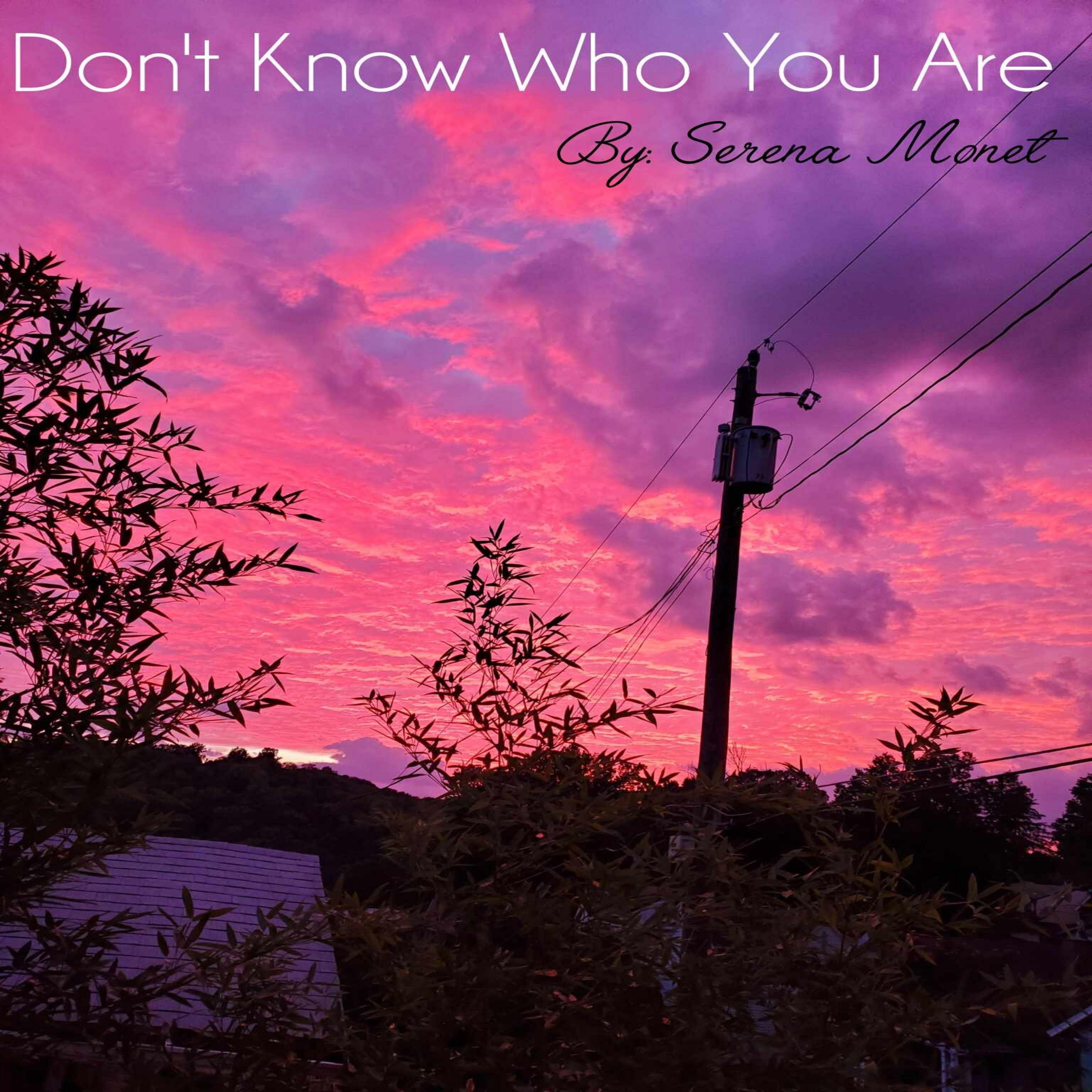 Don't Know Who You Are artwork