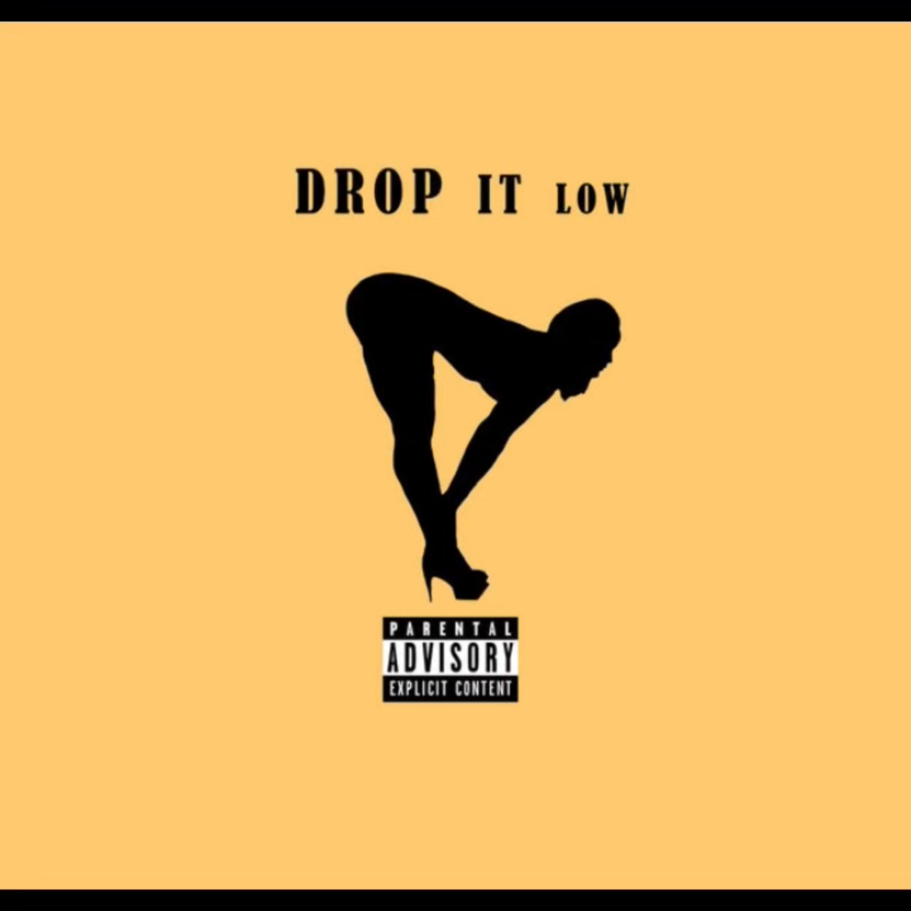 Drop it Low artwork