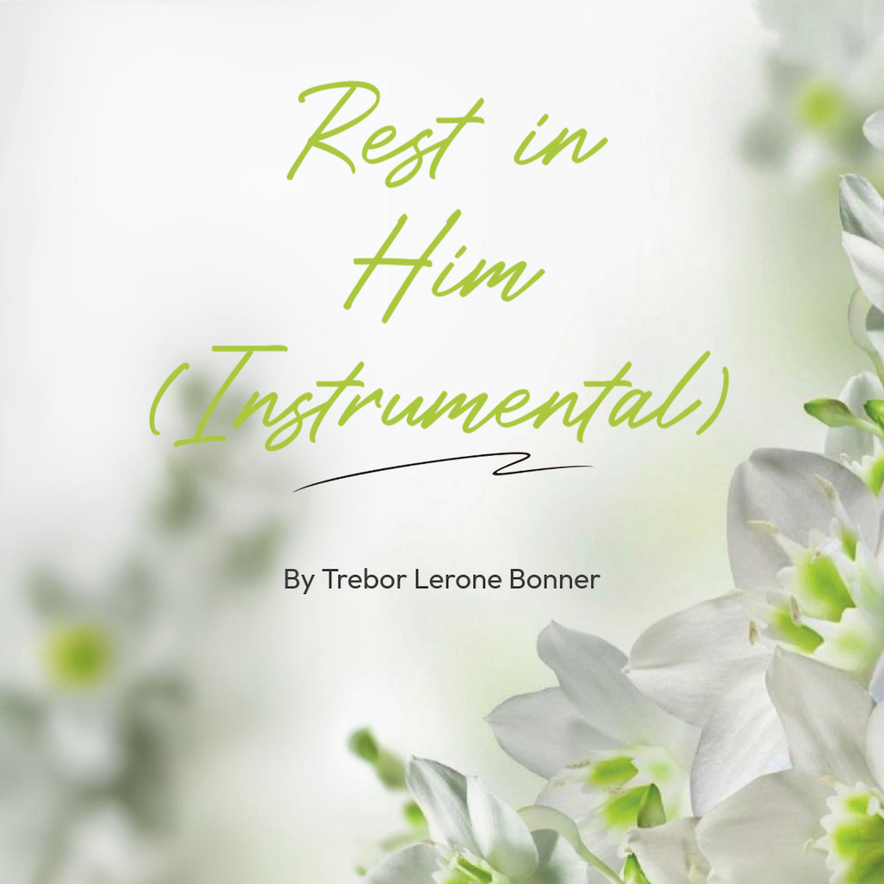 Rest in Him (Instrumental) artwork
