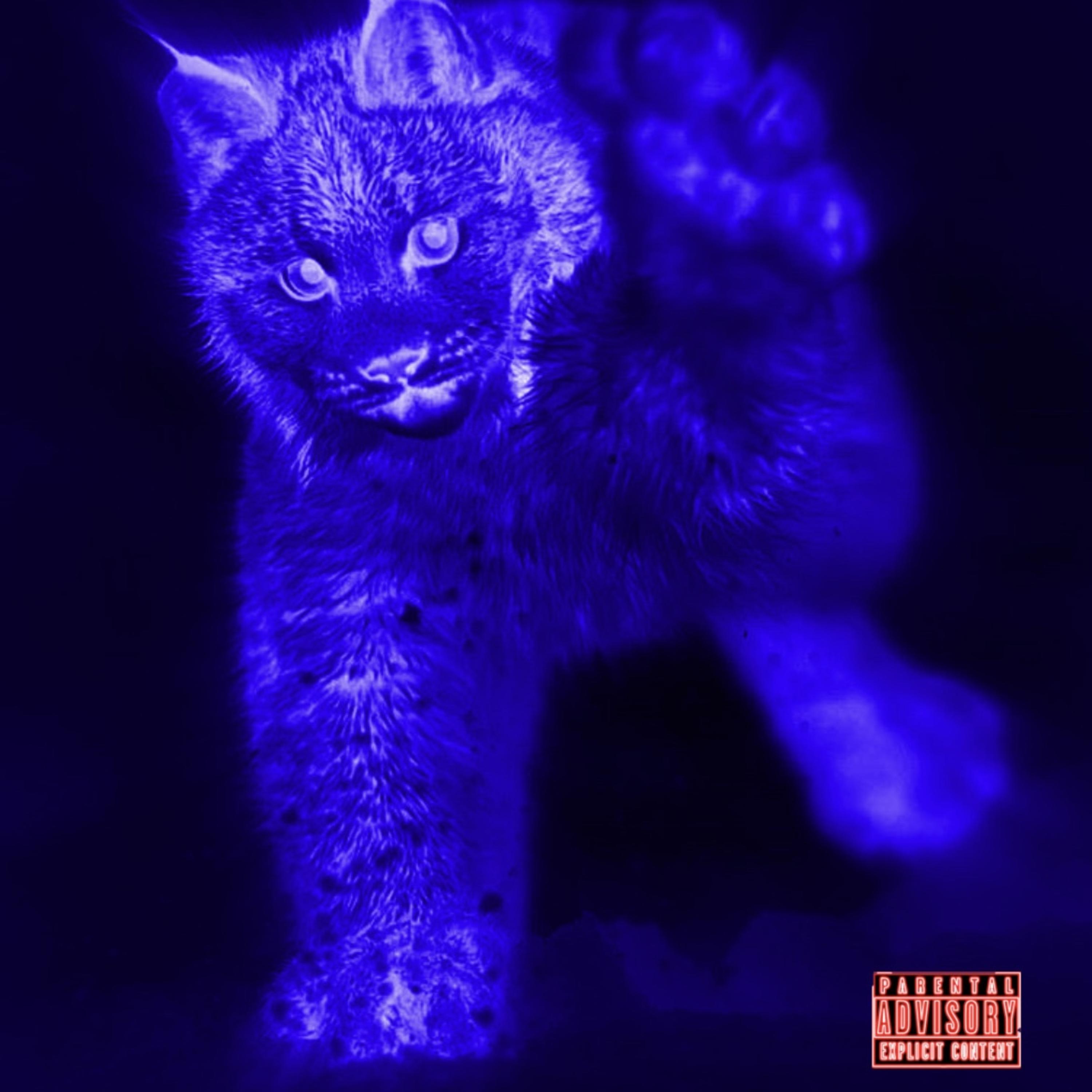2COLD artwork