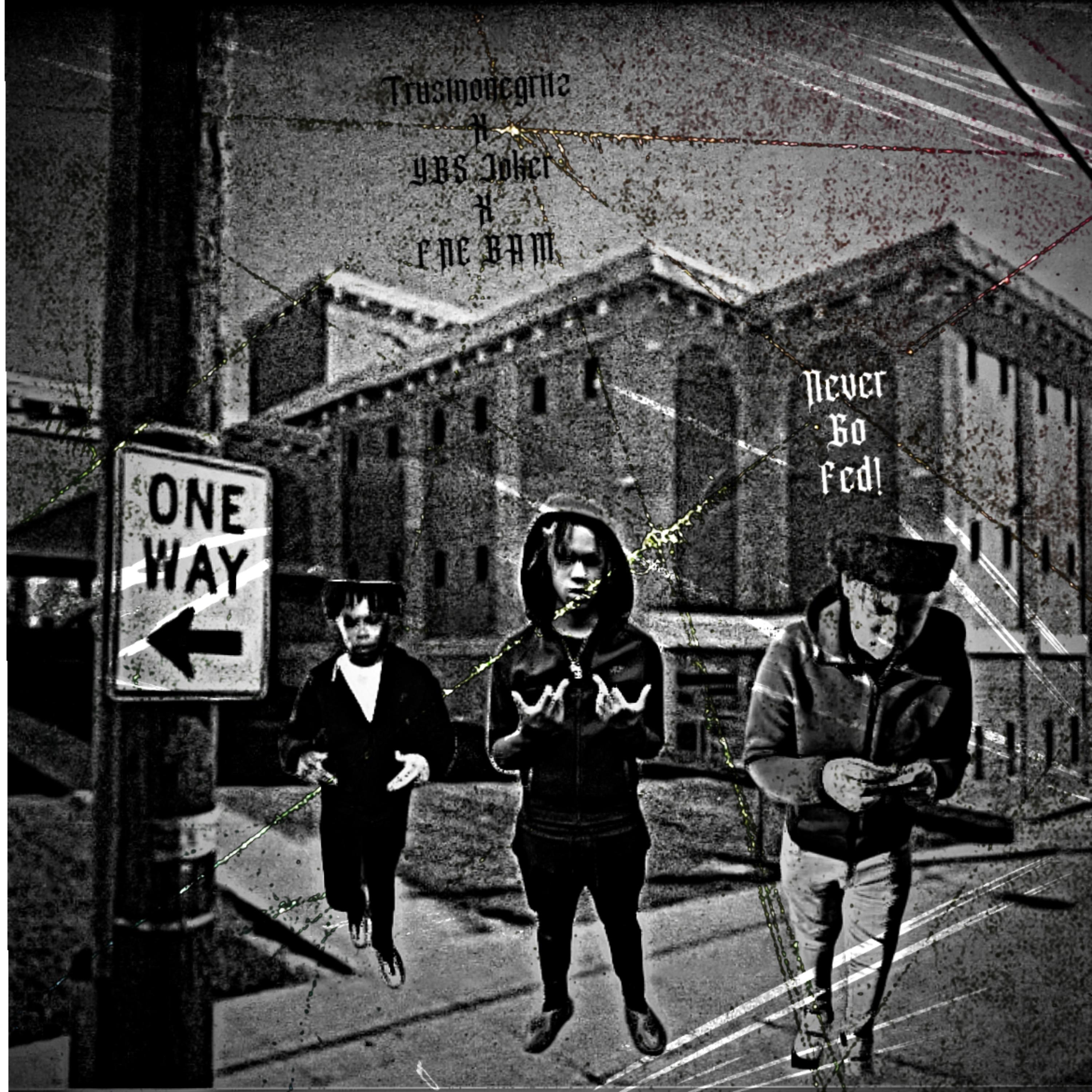 Never Go Fed artwork
