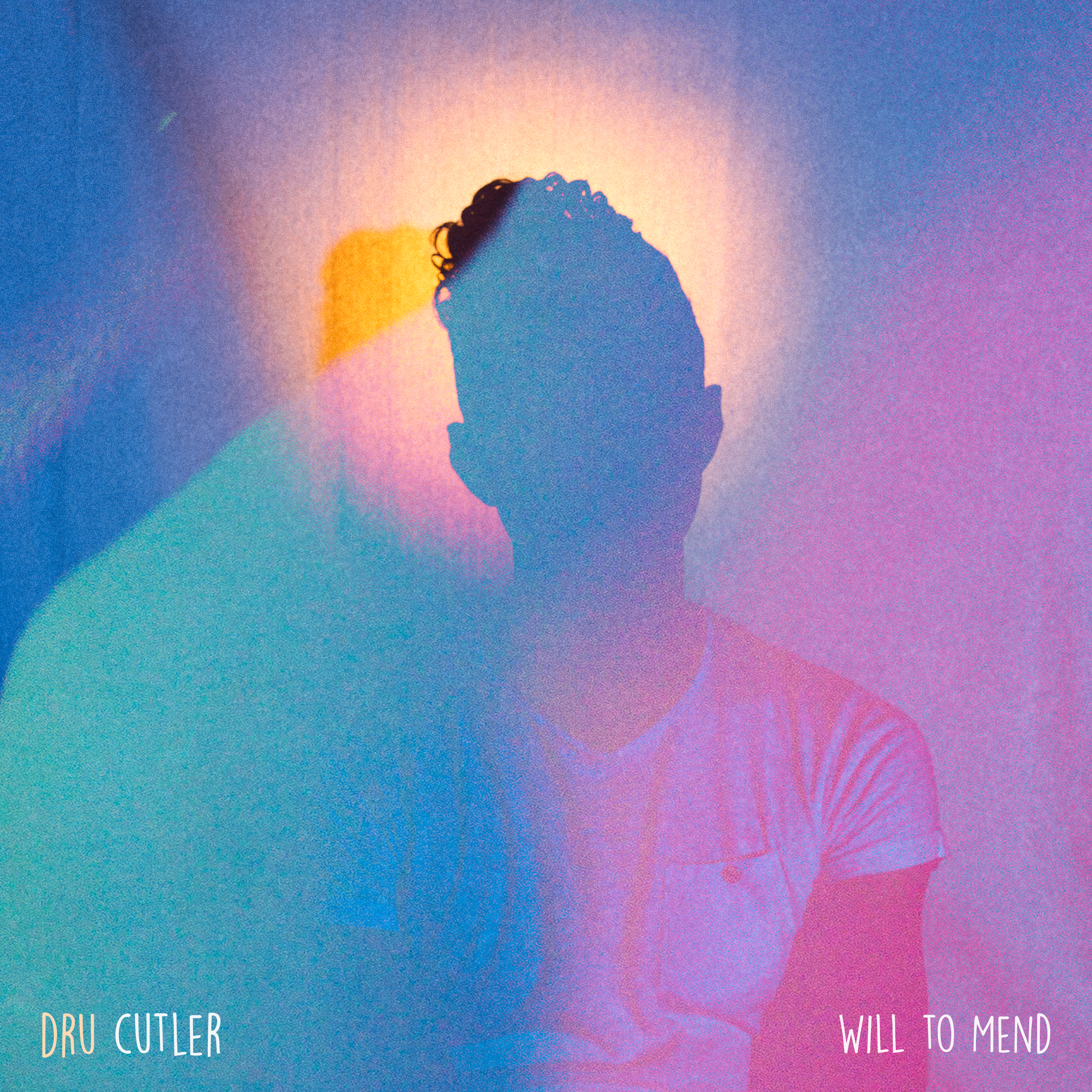 Will to Mend by Dru Cutler cover art