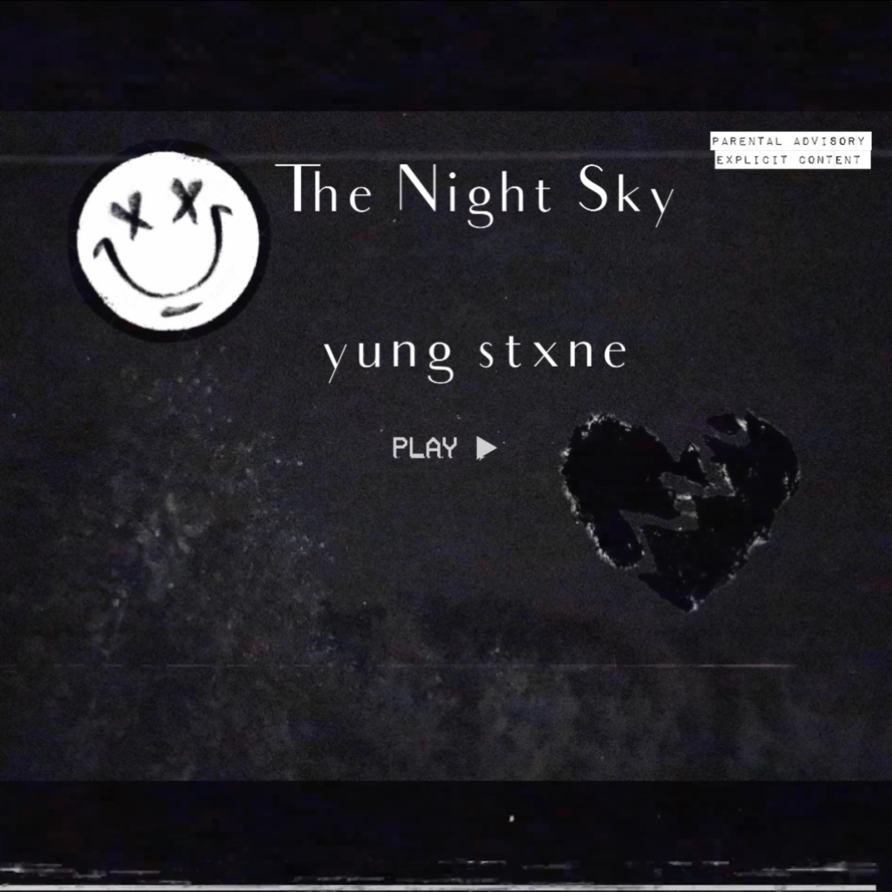 The Night Sky artwork