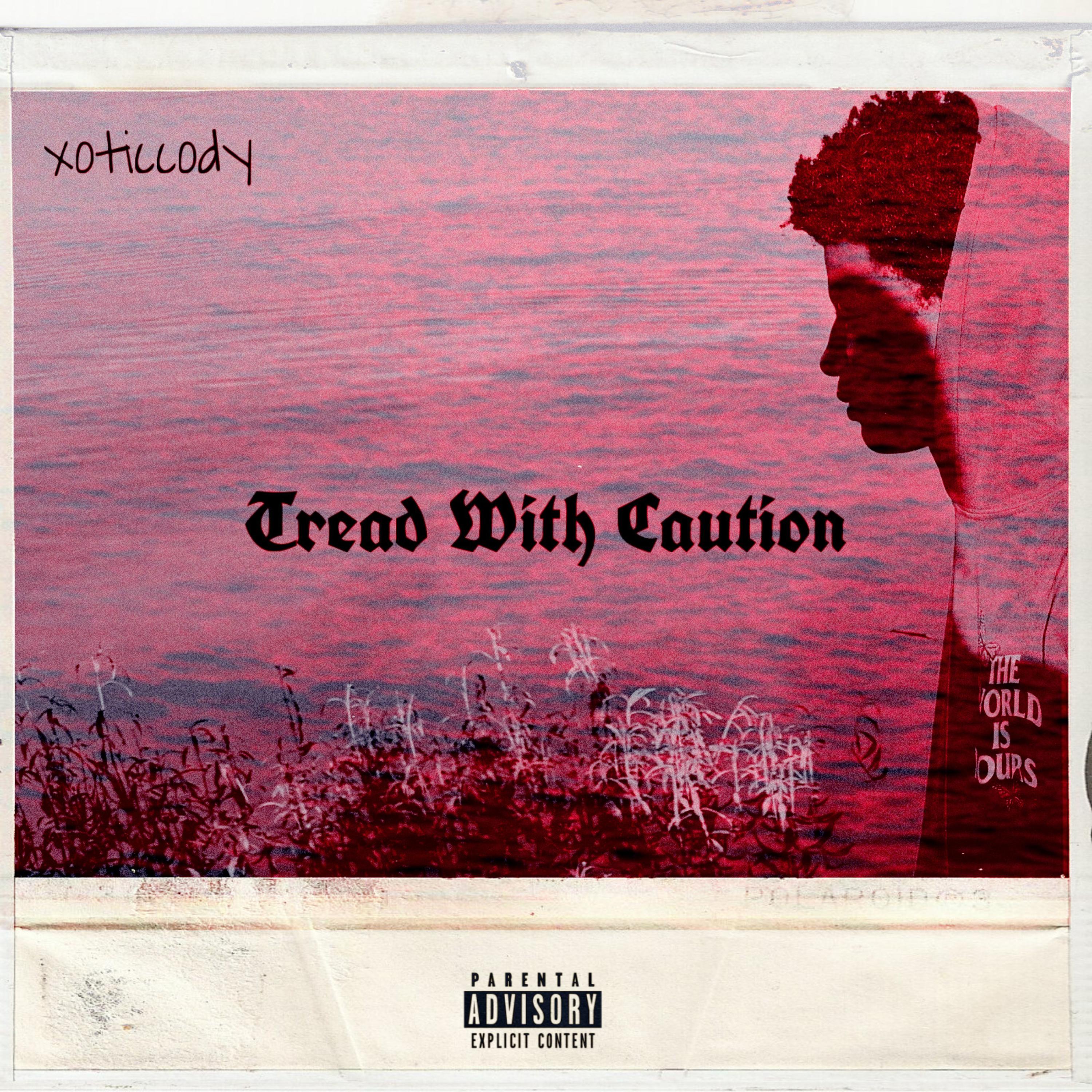Tread With Caution artwork