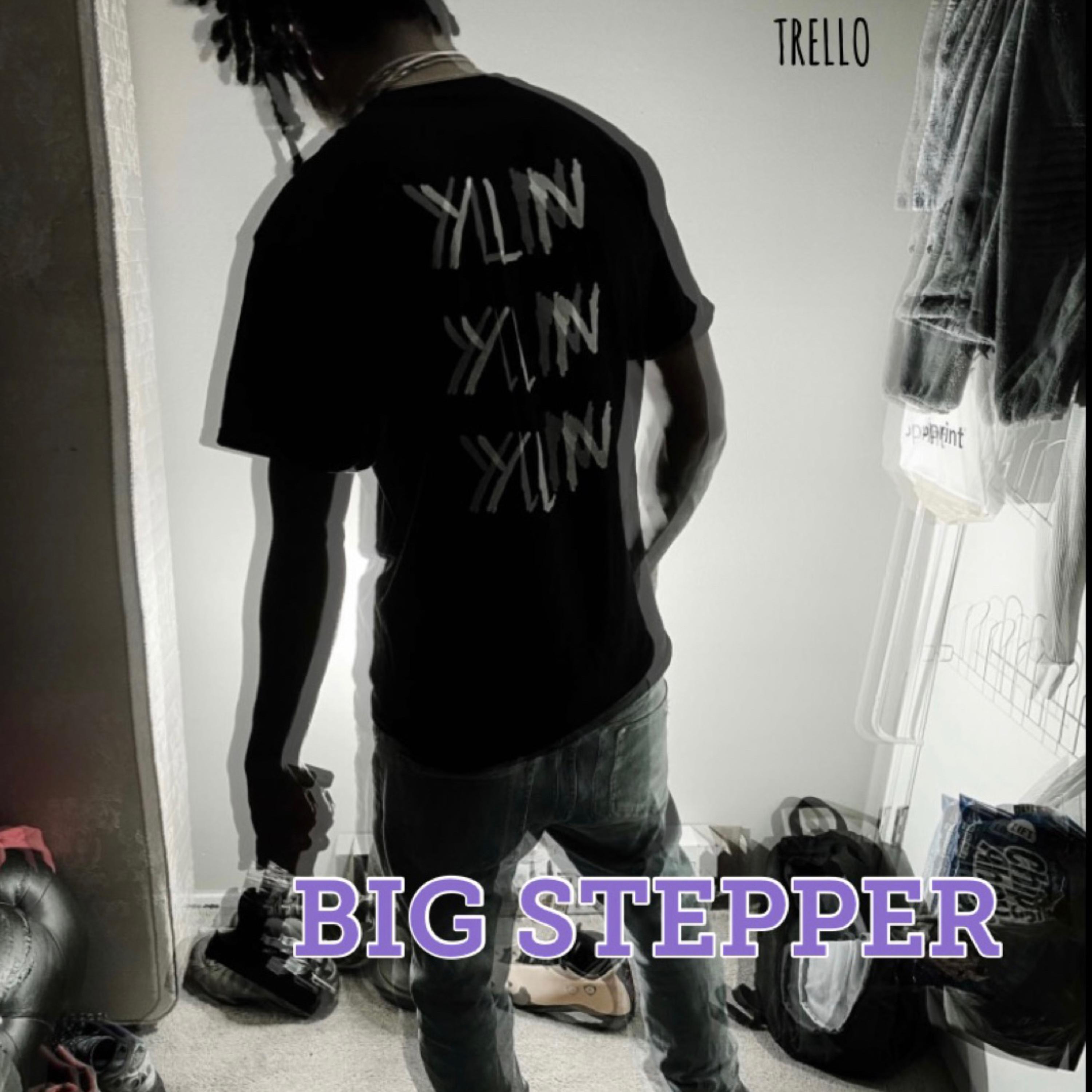 Big Stepper artwork