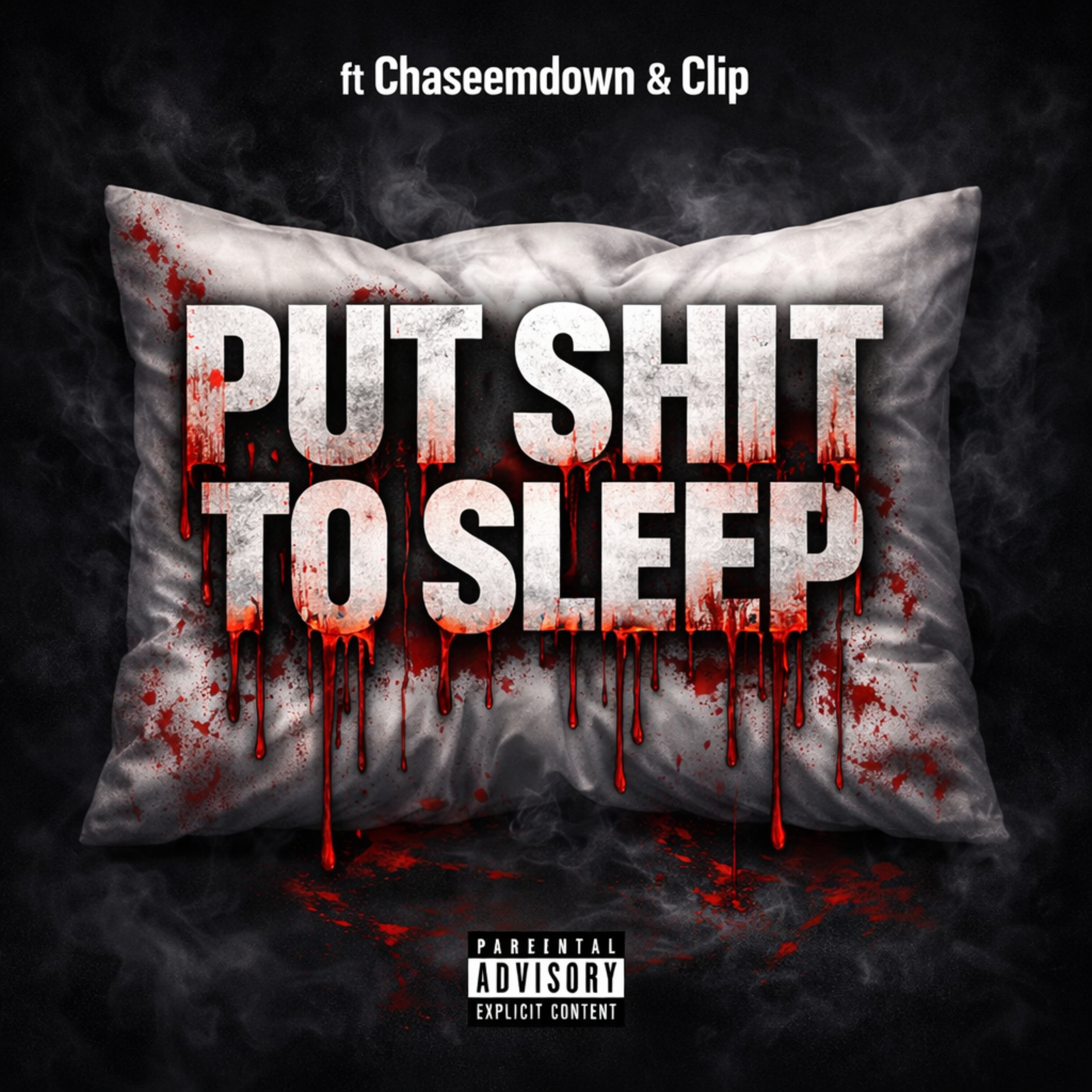Put Shit To Sleep artwork