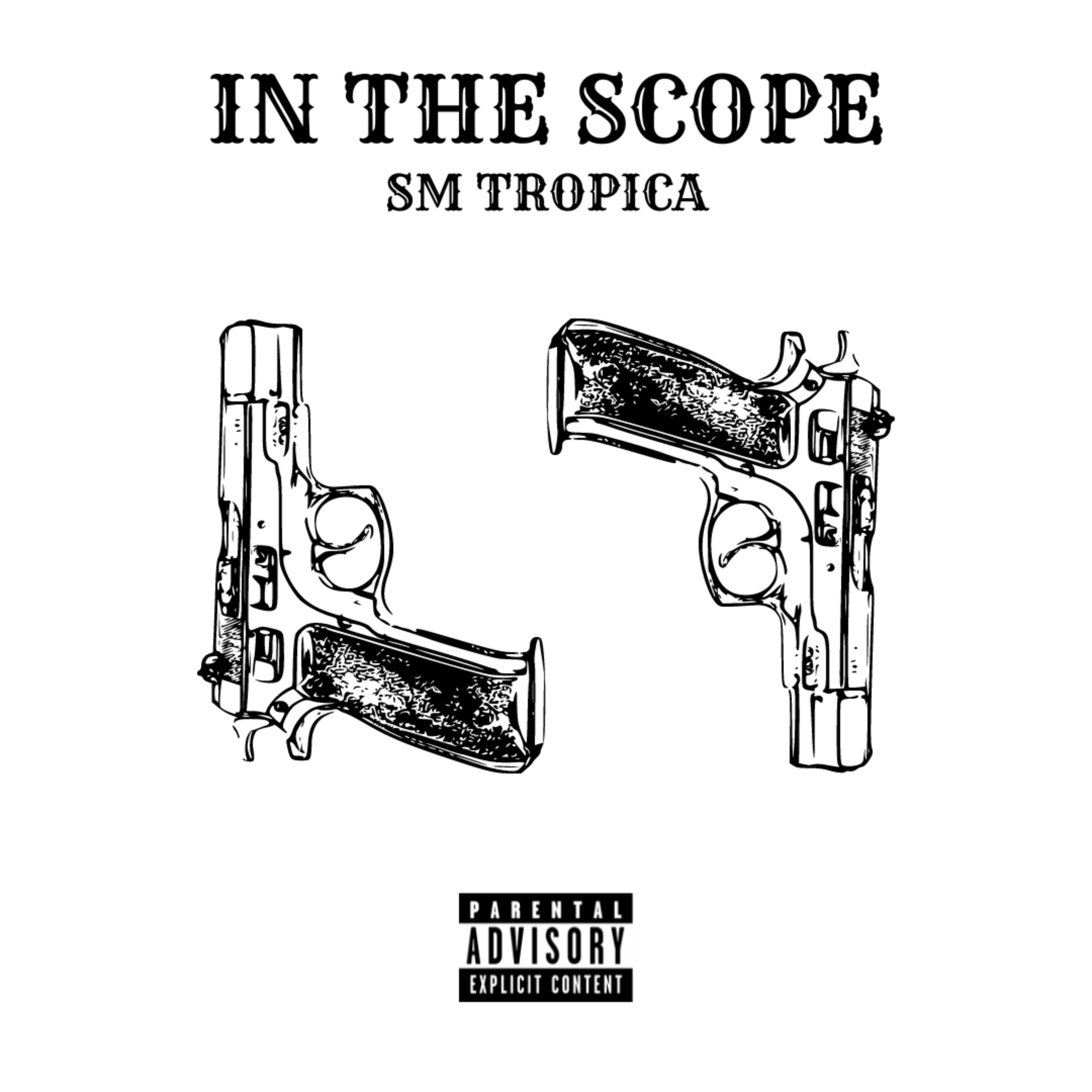 IN THE SCOPE artwork