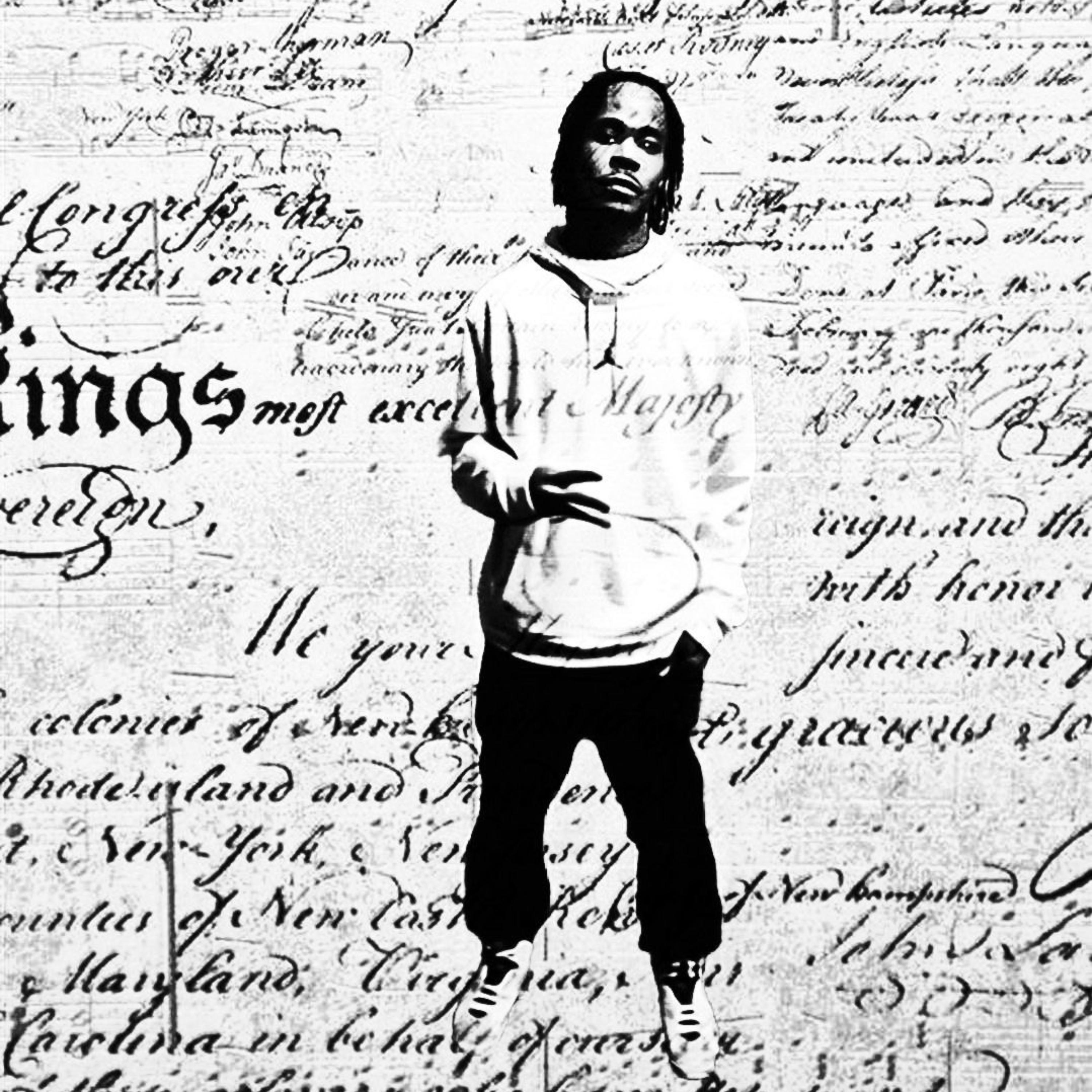 The Realist Vibes Only artwork