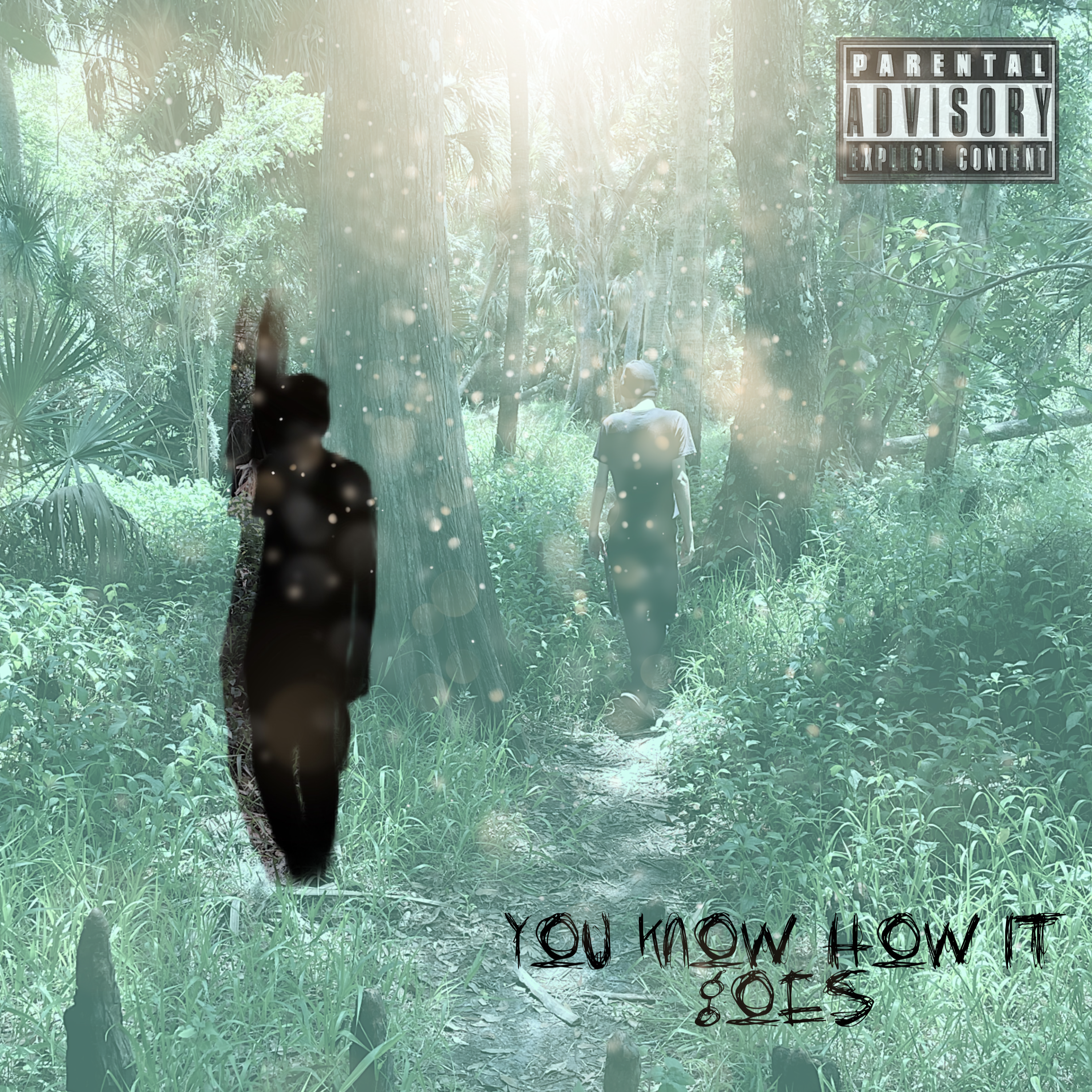 You Know How It Goes artwork