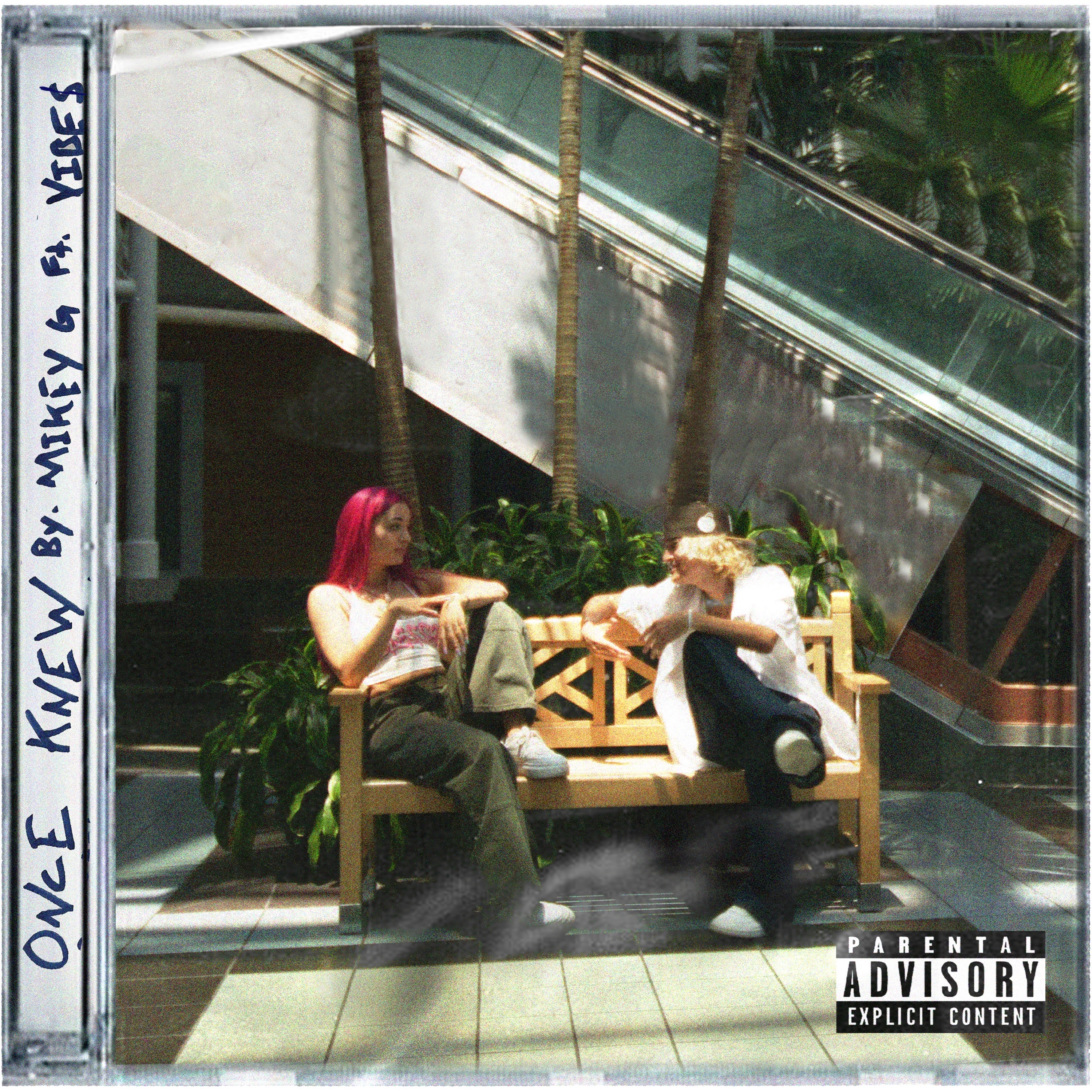 Once Knew artwork