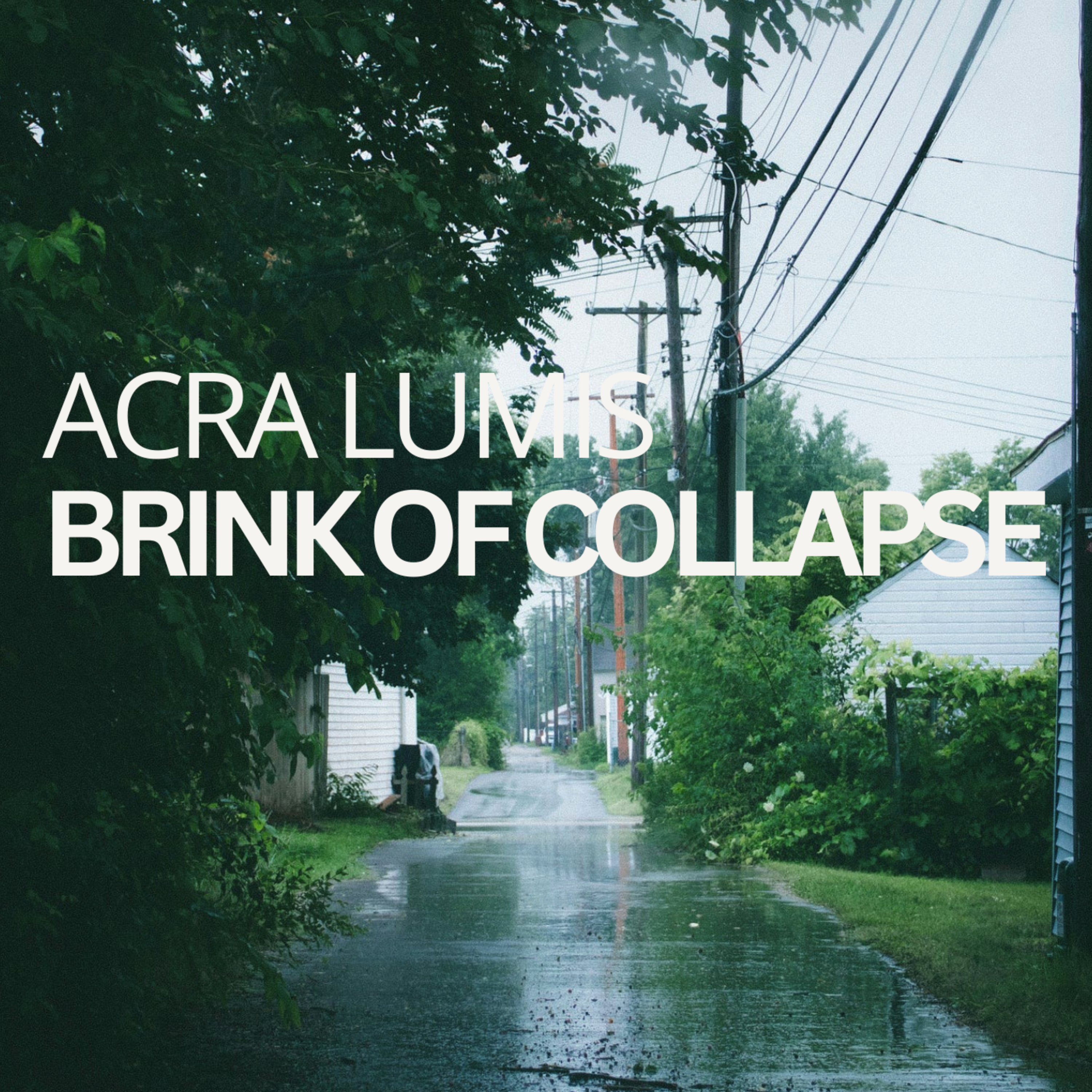 Brink of Collapse artwork