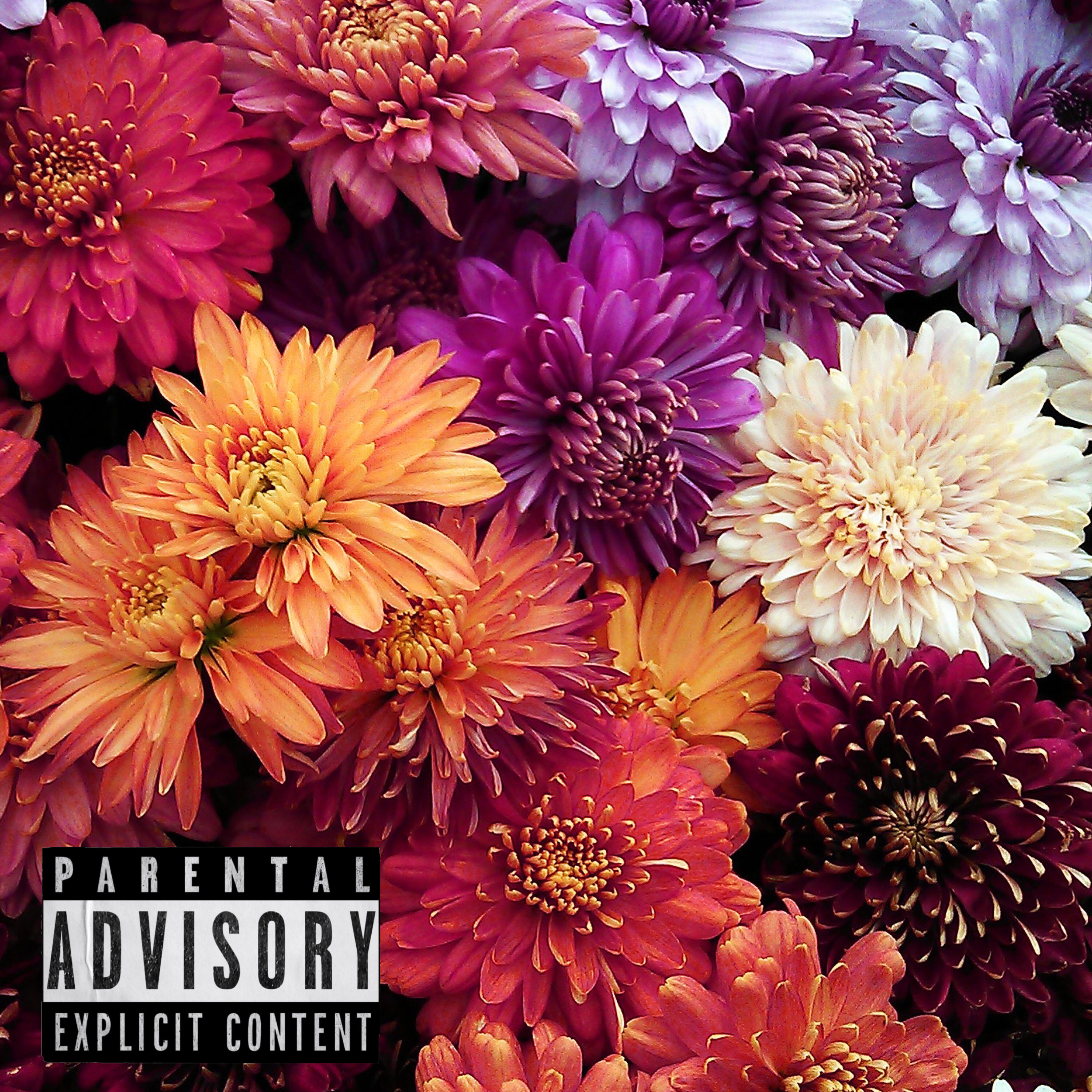 Moments Before Midnight Freestyle artwork