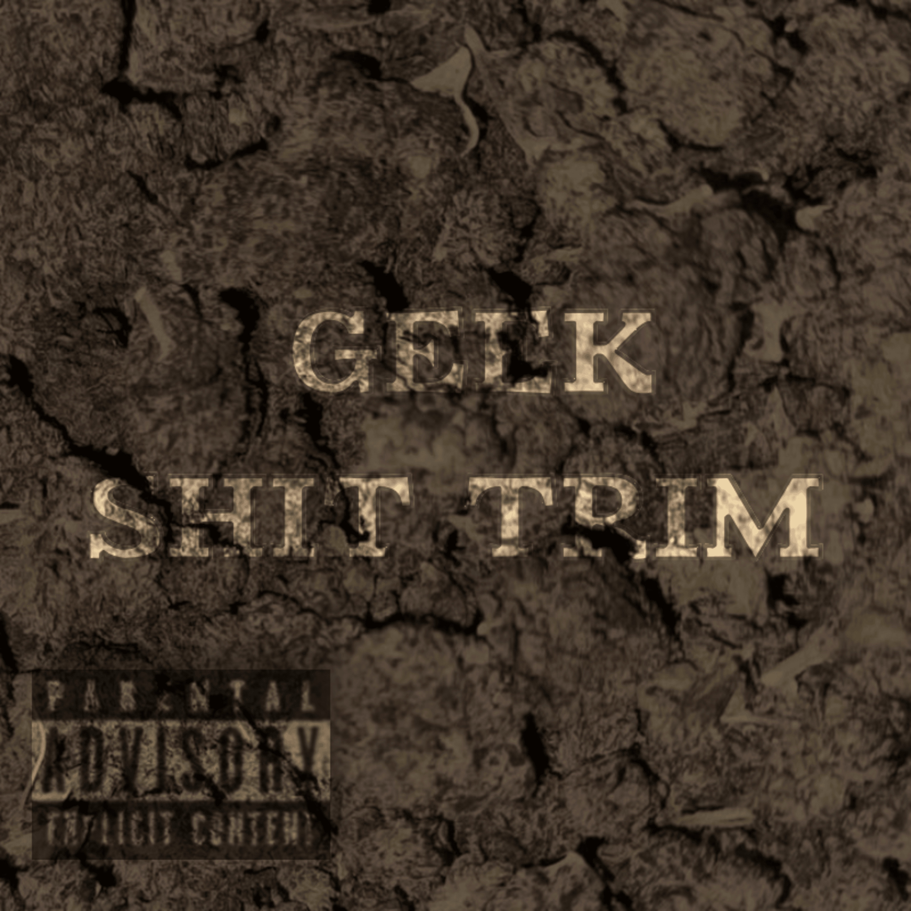 GEEKSHITRIM artwork