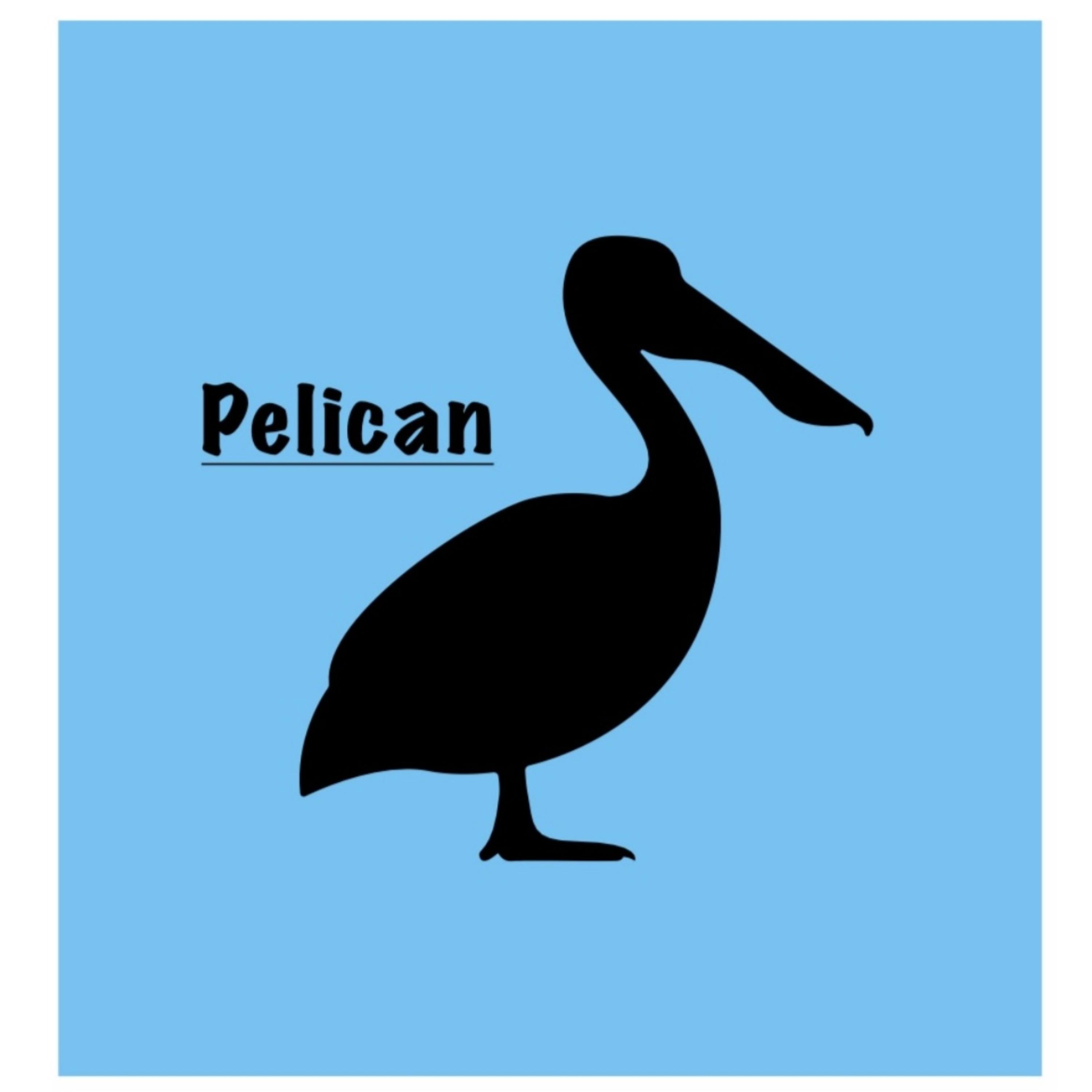 Pelican artwork