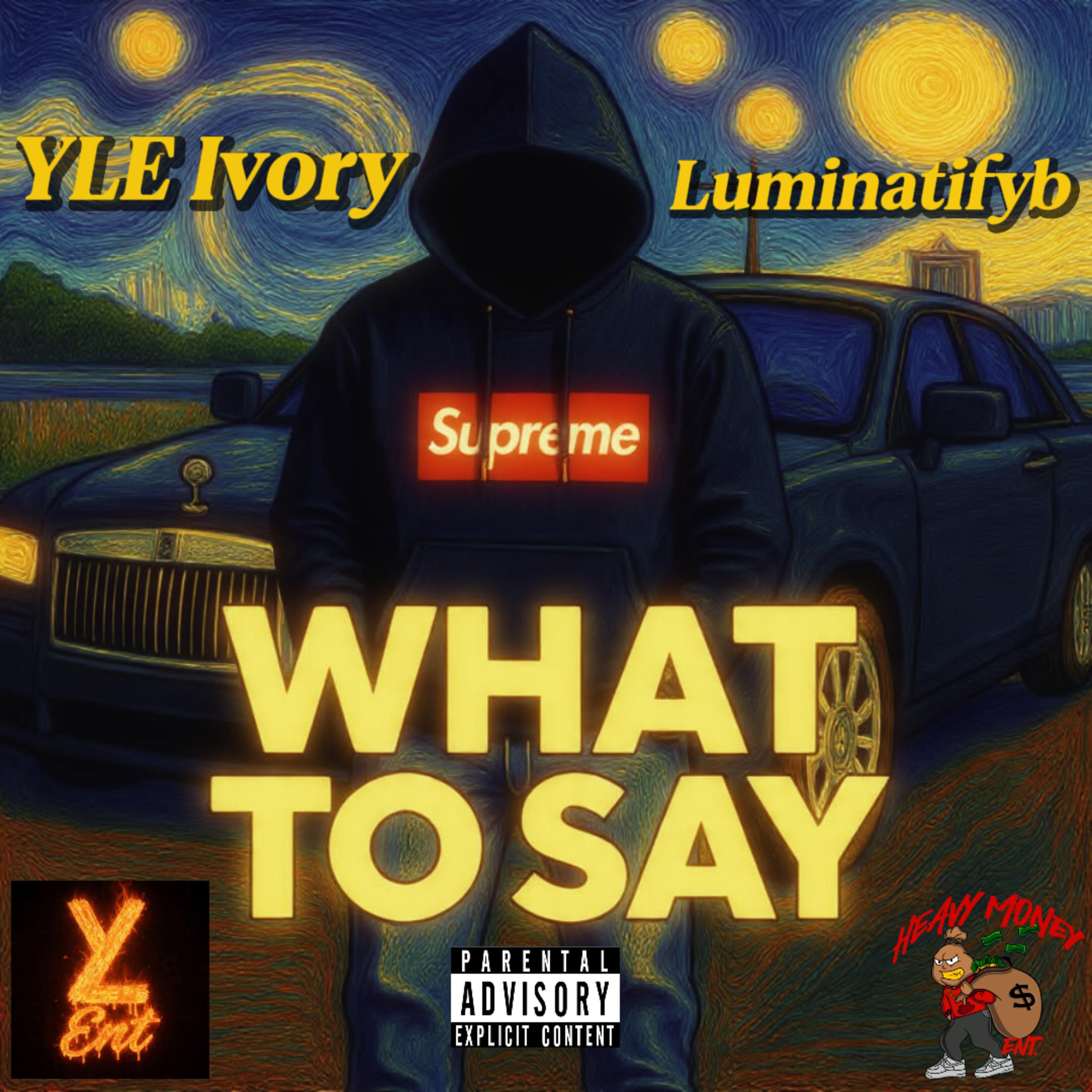 What To Say artwork