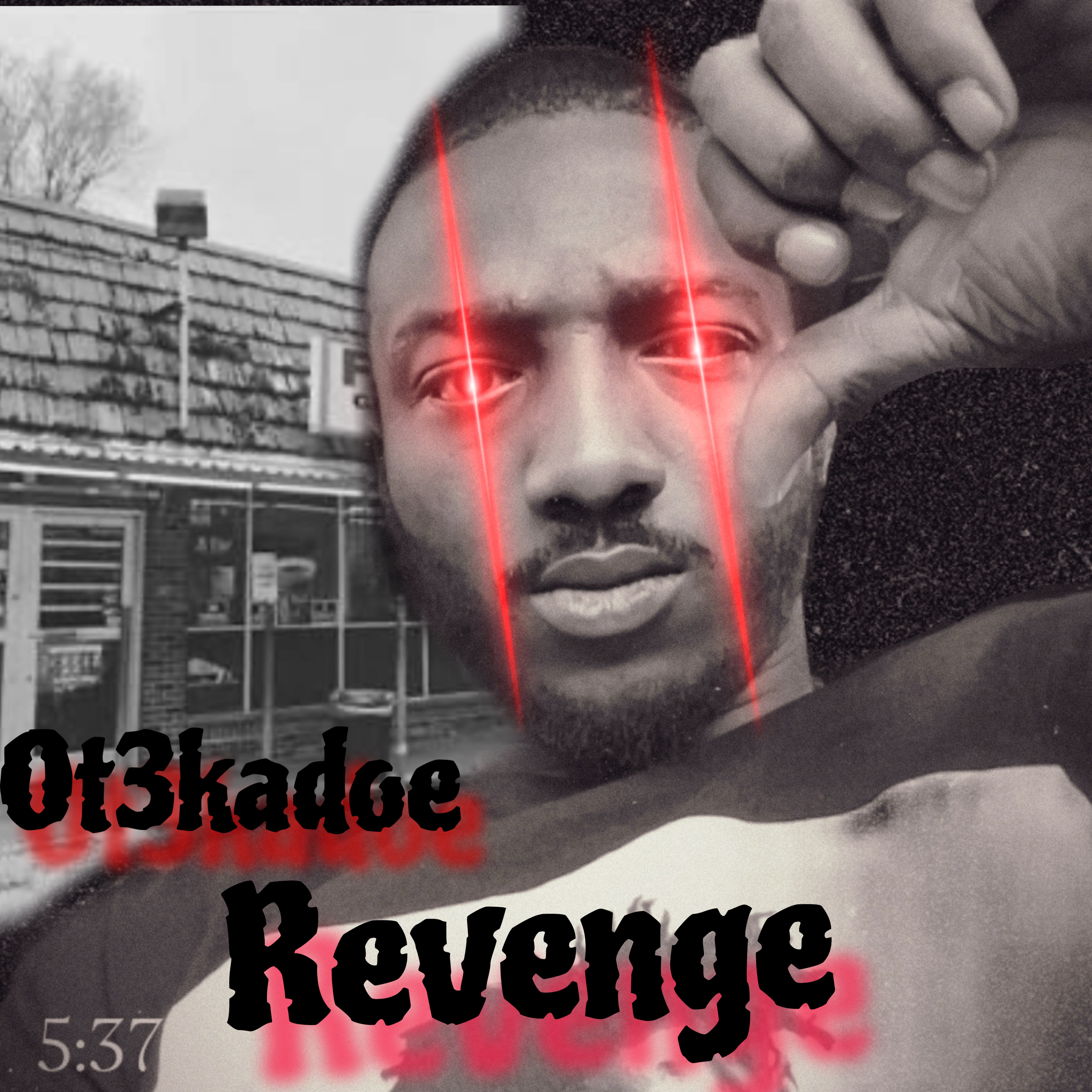 Revenge artwork