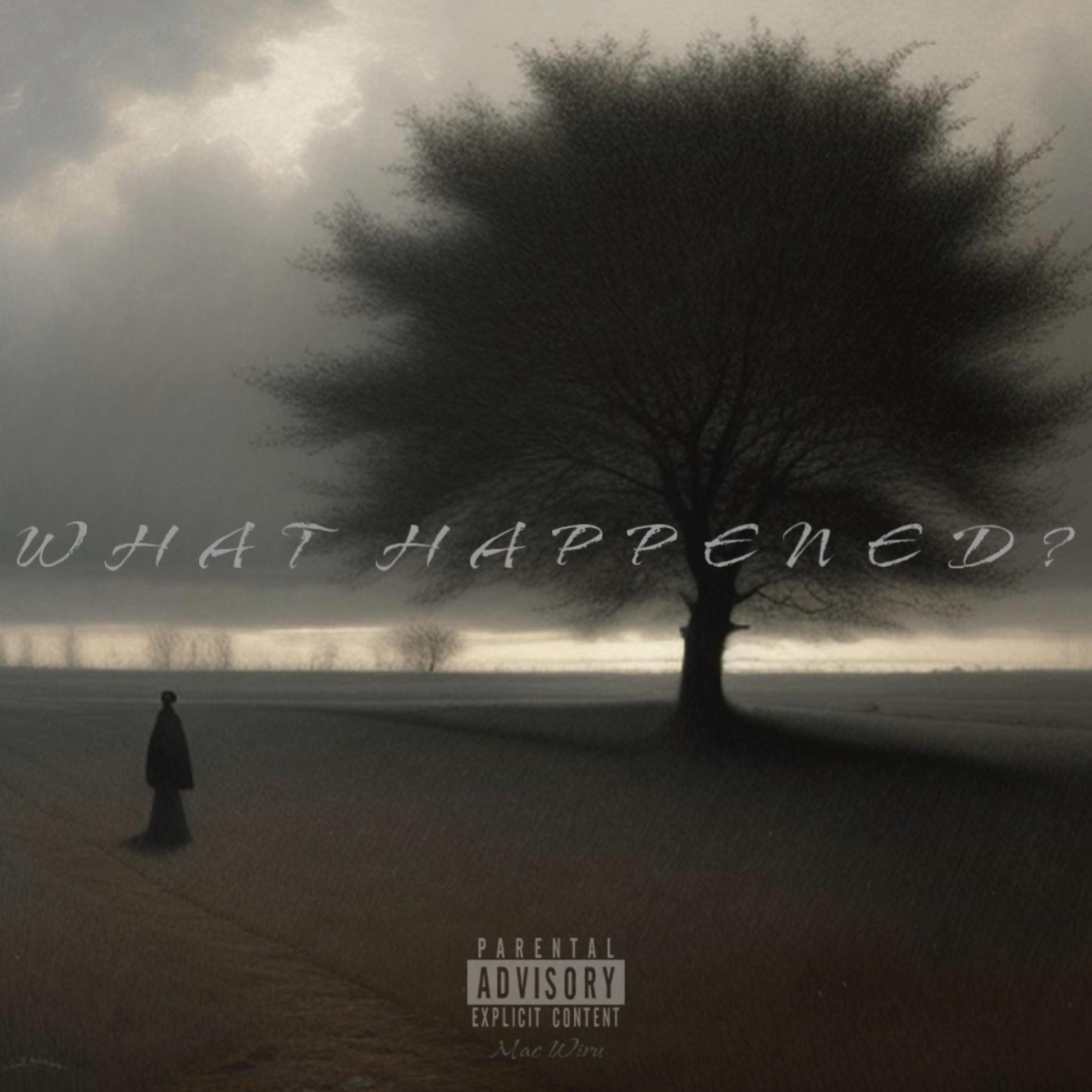 WHAT HAPPENED? artwork