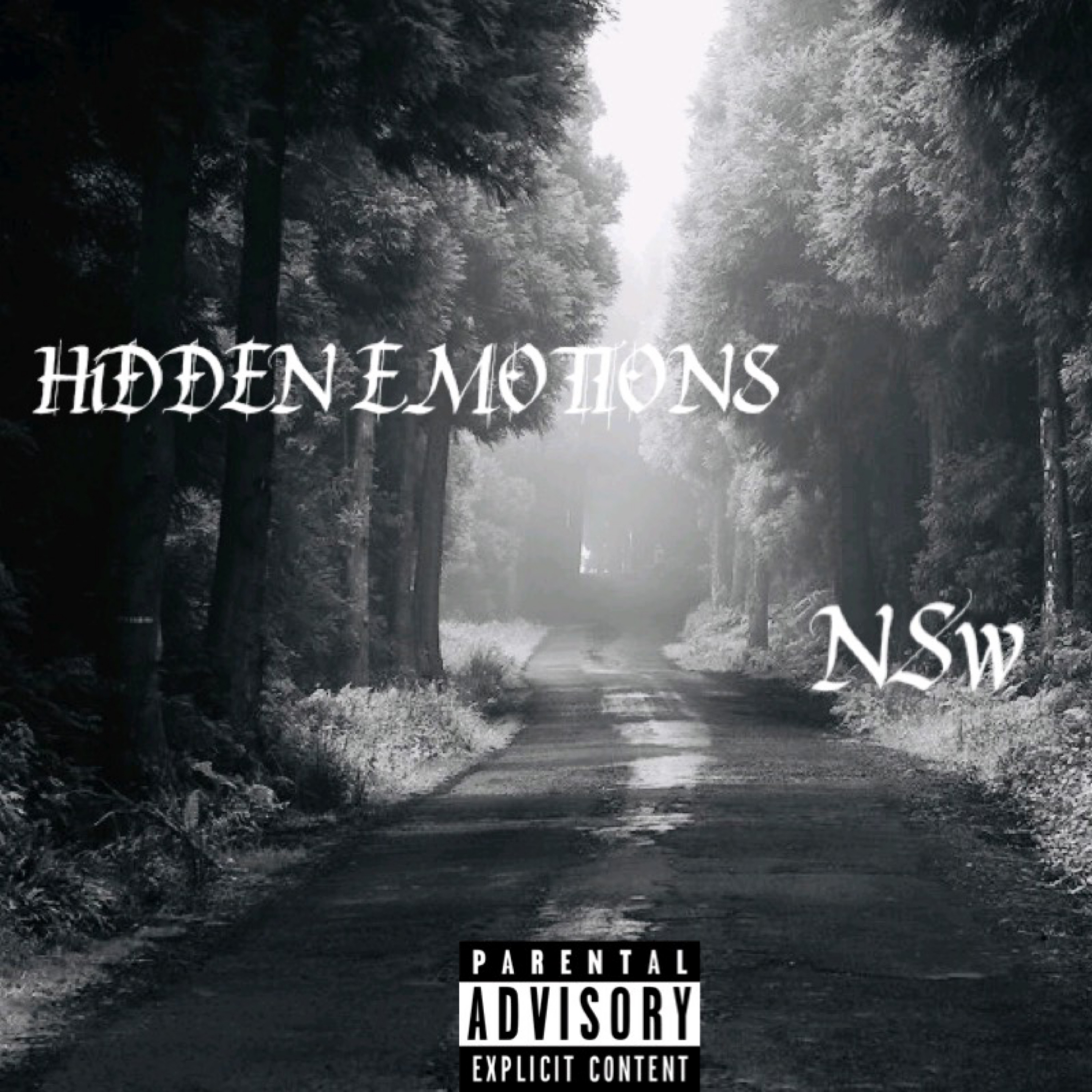 HIDDEN EMOTIONS artwork