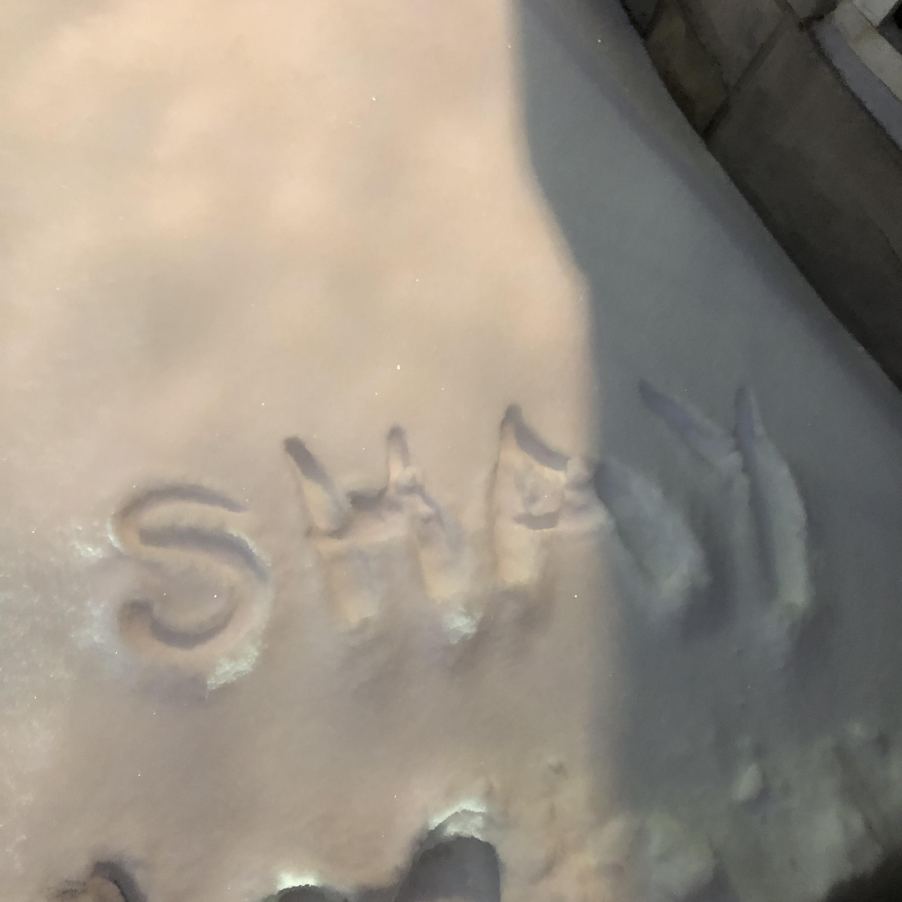 Shay artwork