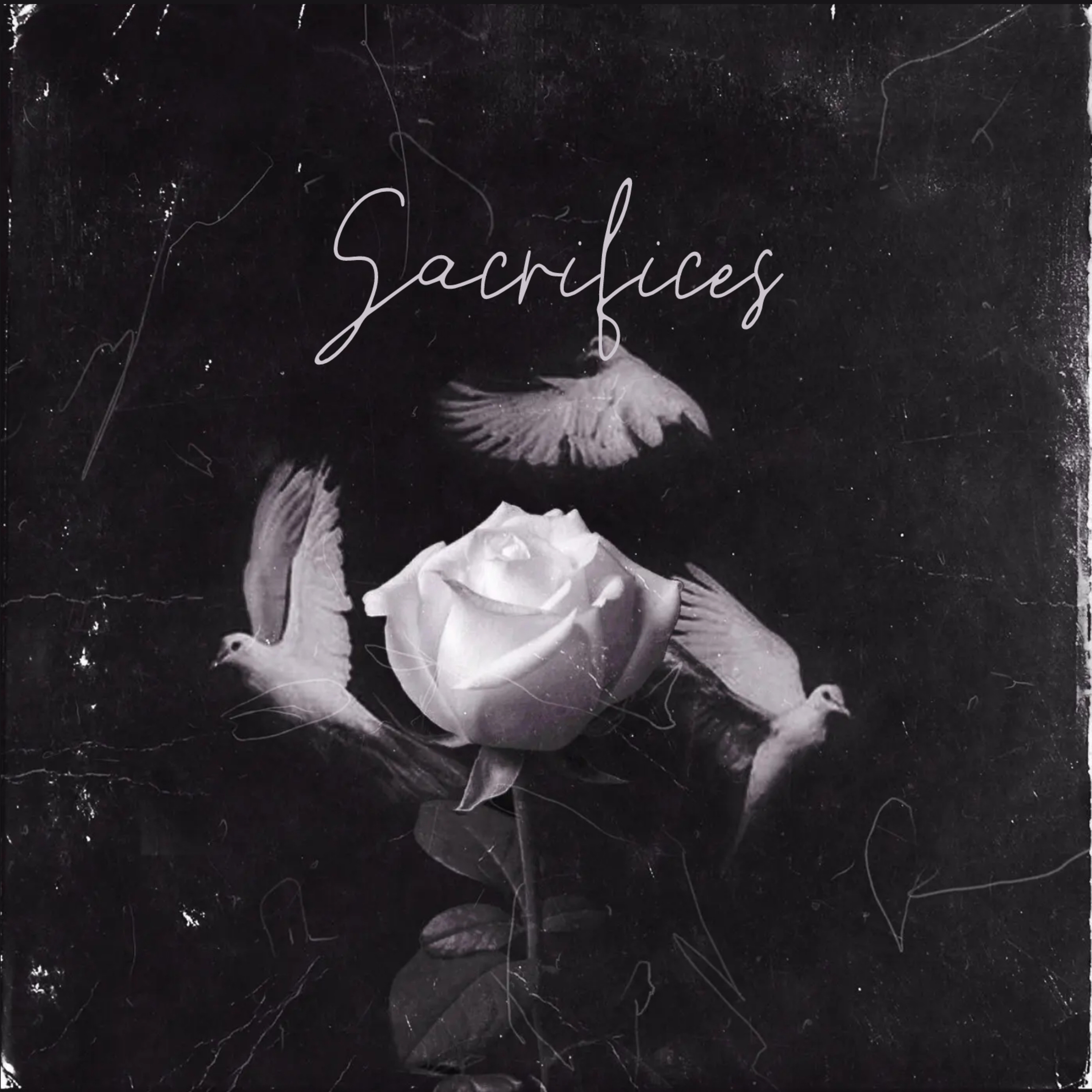 Sacrifices by Anweezy cover art