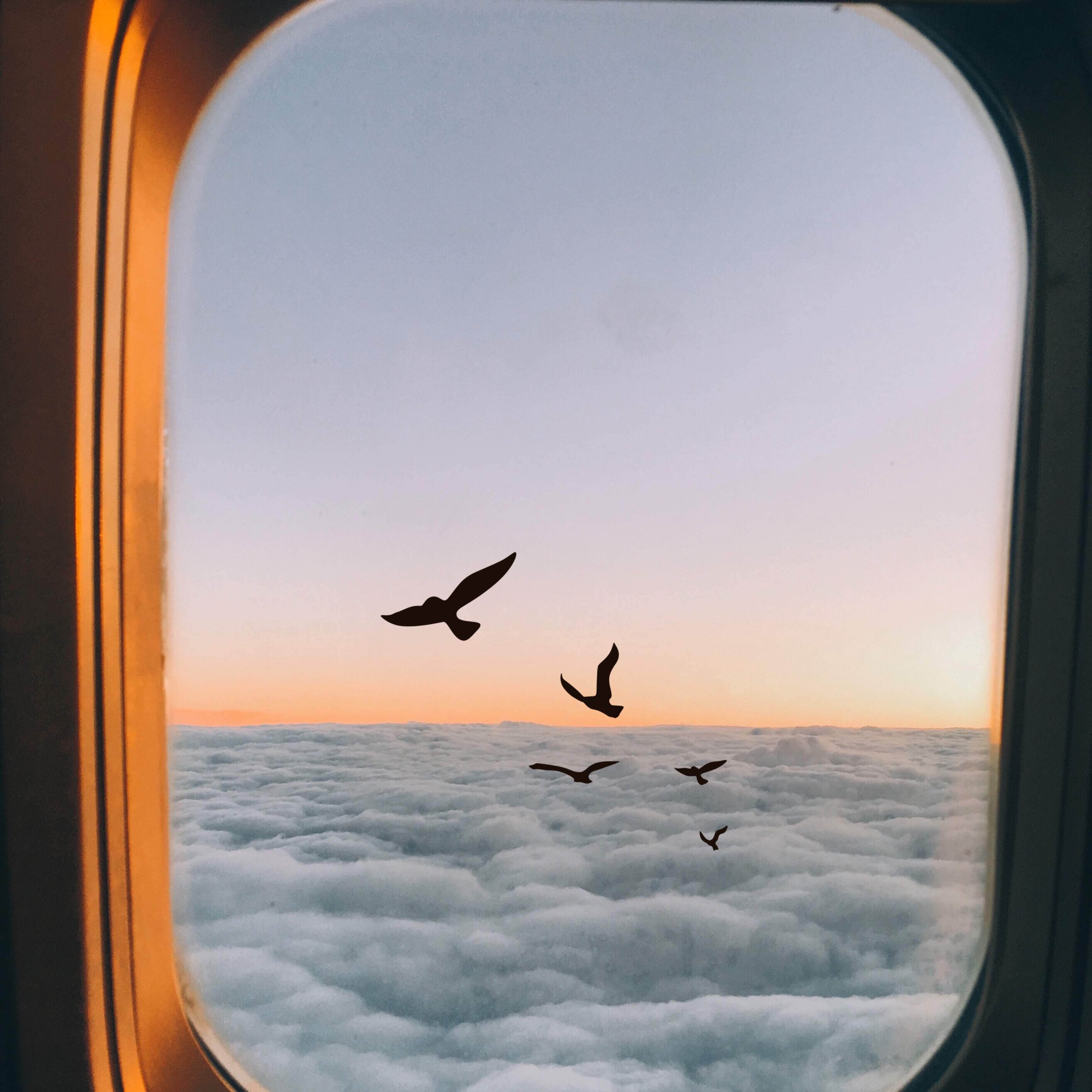 Fly Away artwork