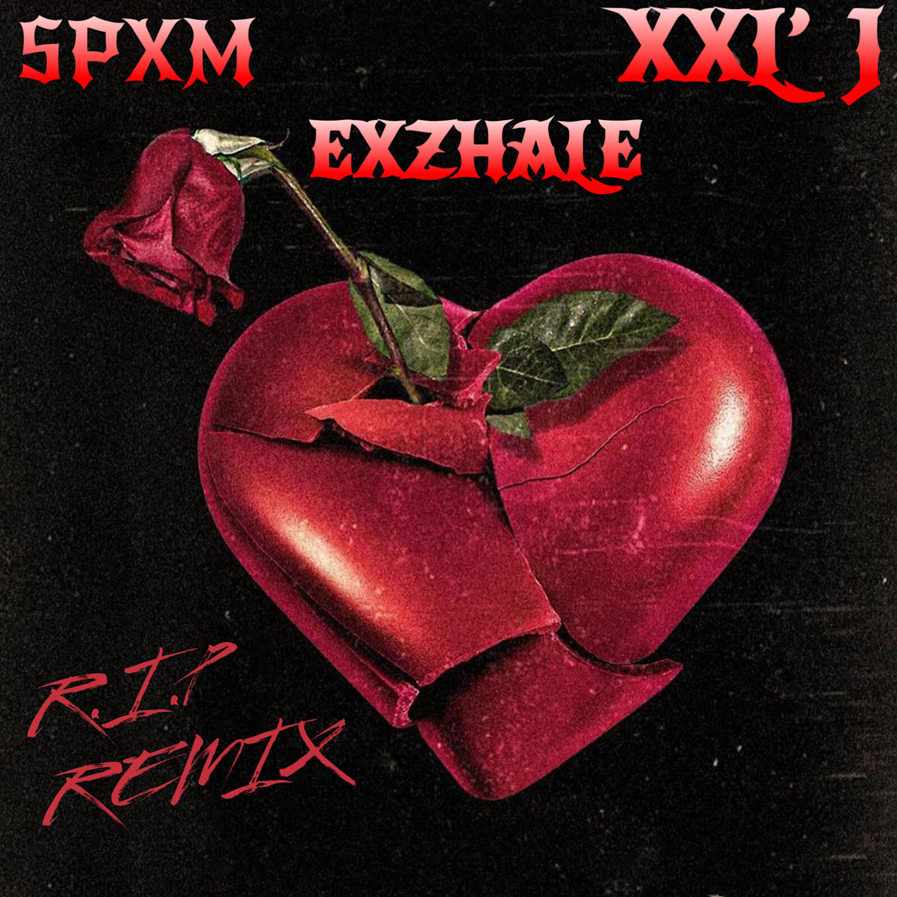 R.I.P (Remix) artwork