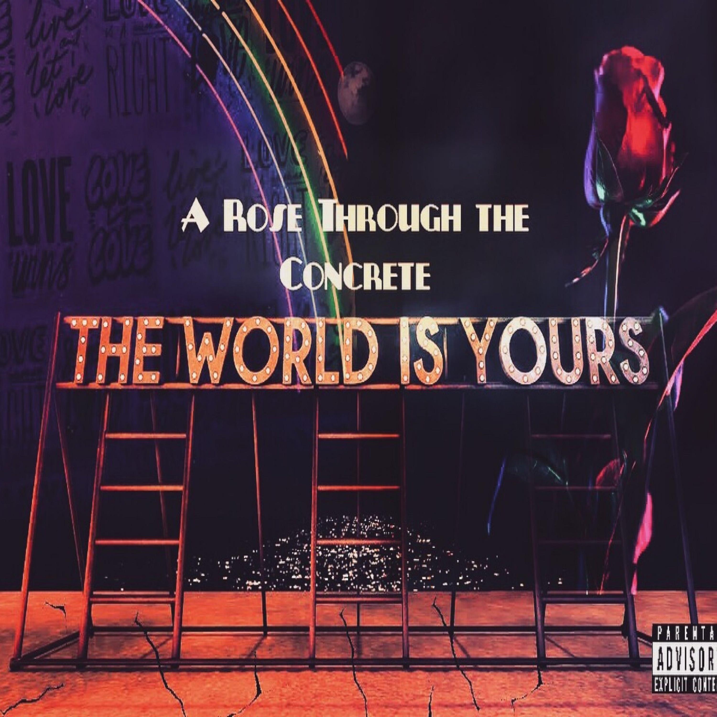 A Rose Through The Concrete artwork