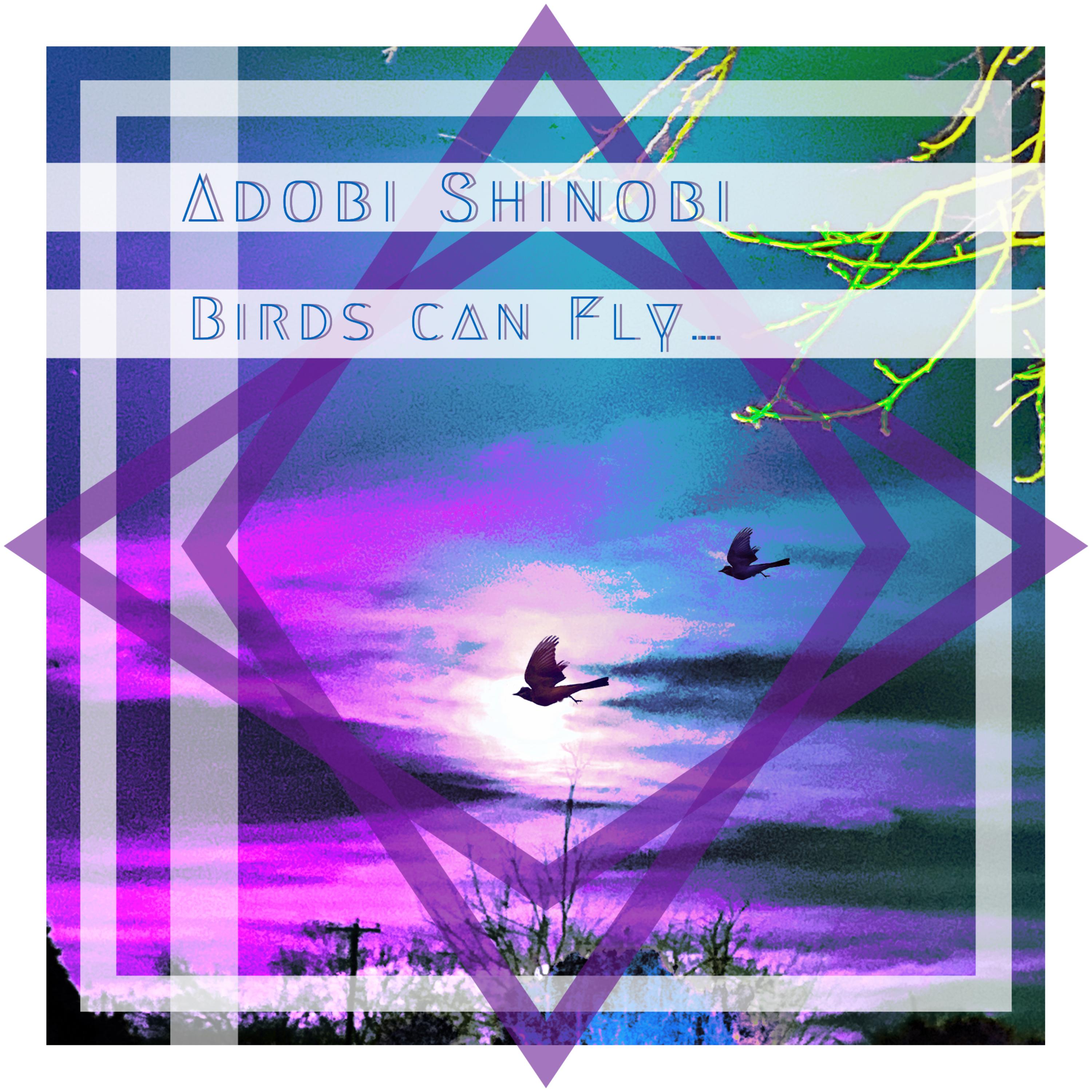 Birds Can Fly... artwork