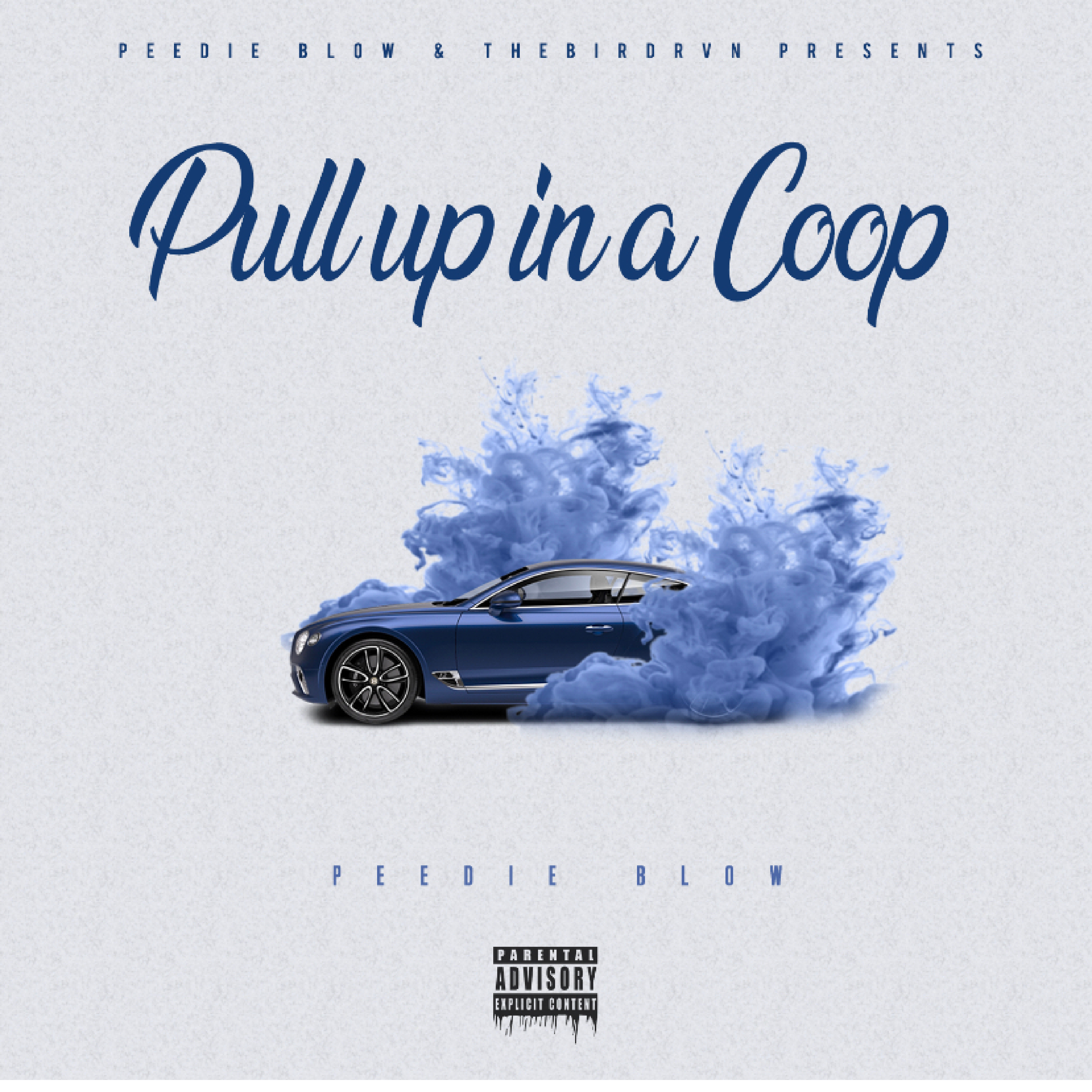 Pull Up In A Coop artwork