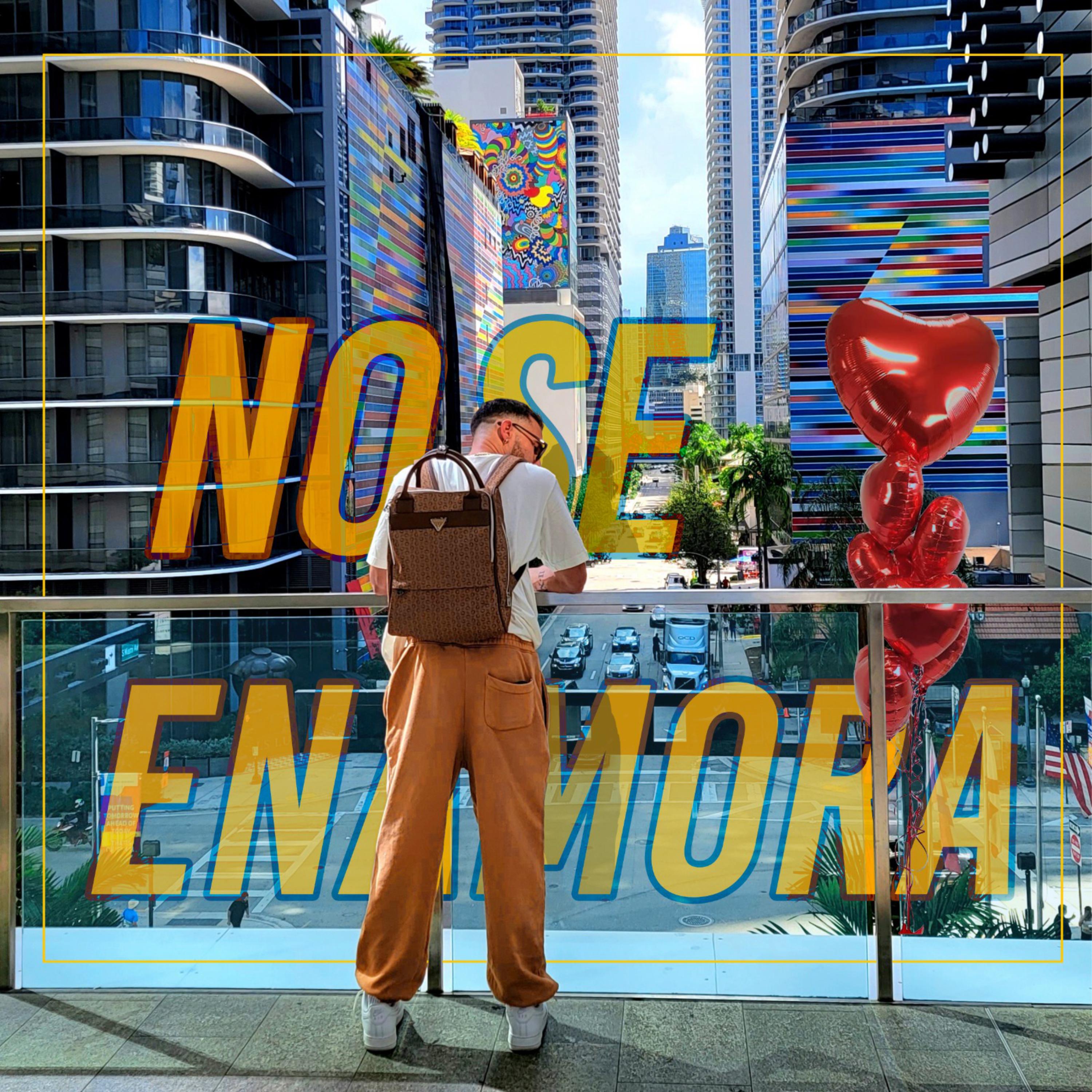 No se enamora artwork