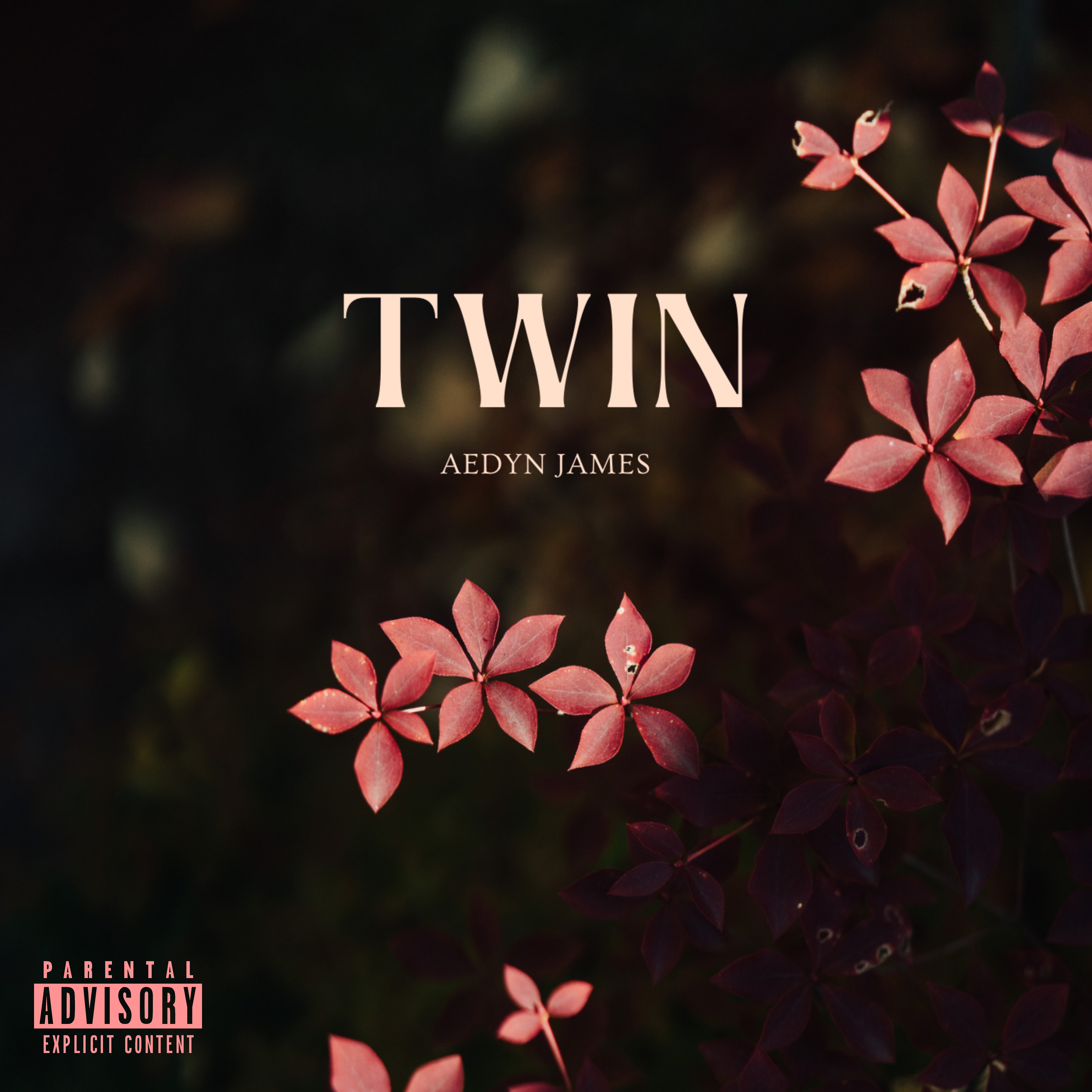 Twin artwork