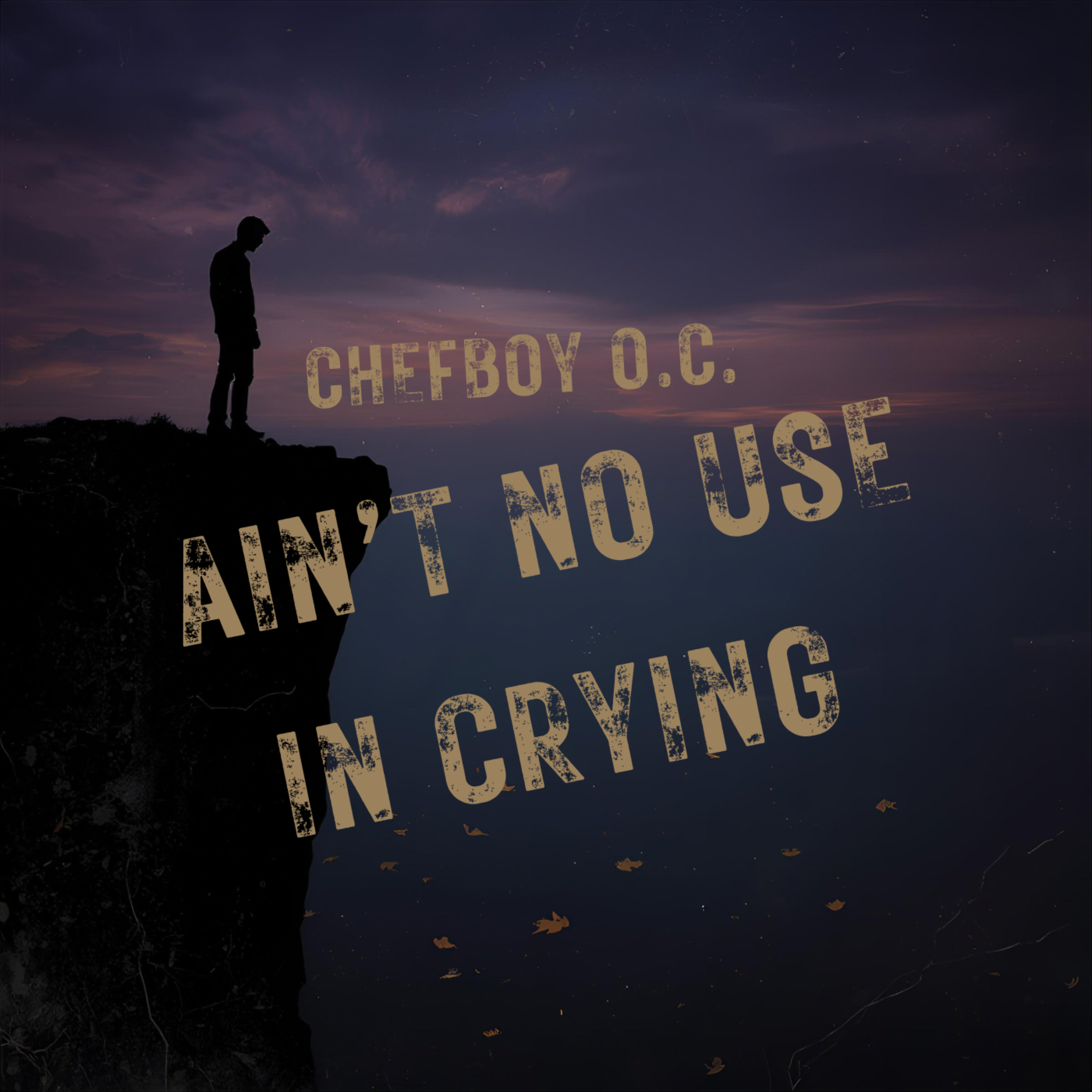 Ain’t No Use In Crying artwork
