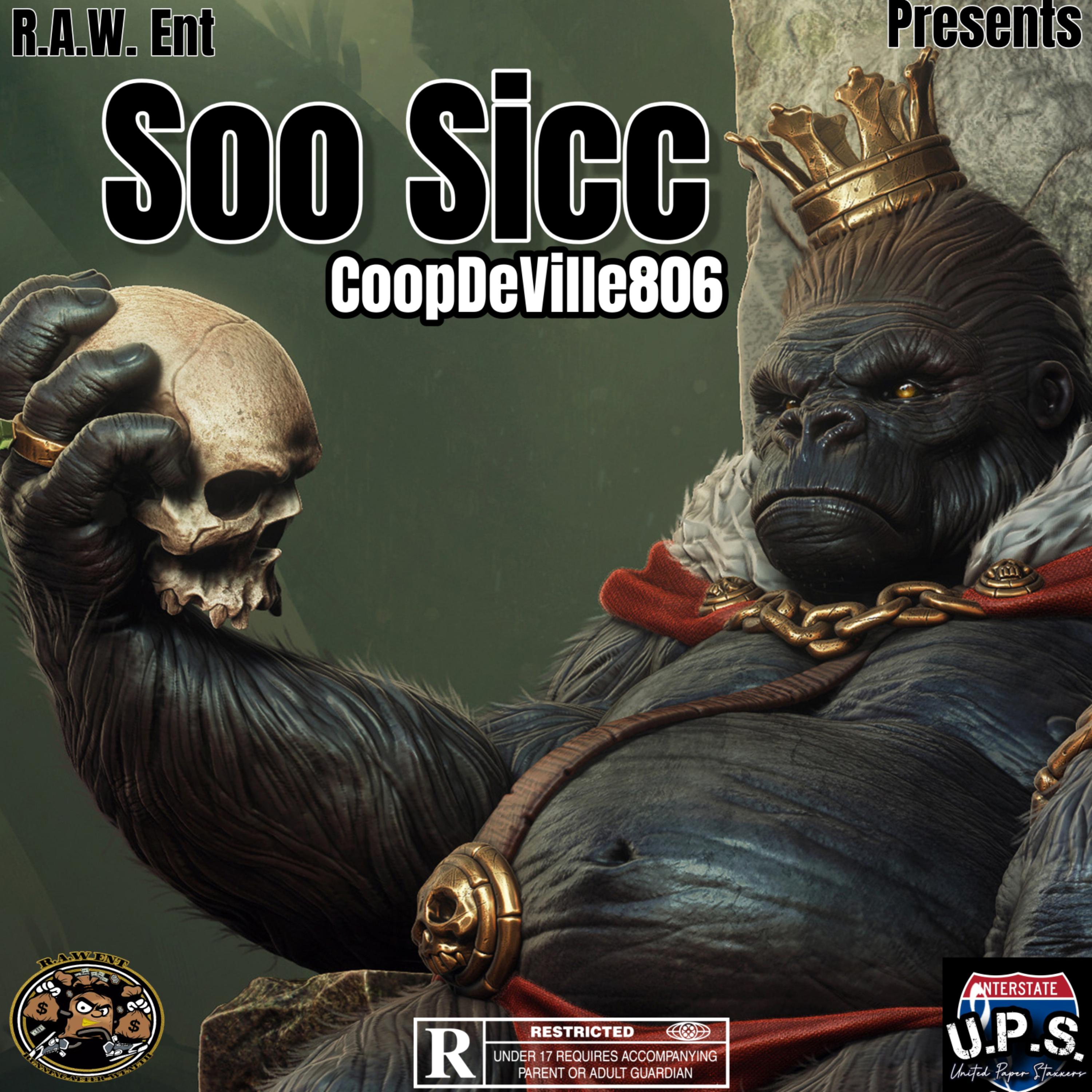 Soo Sicc artwork