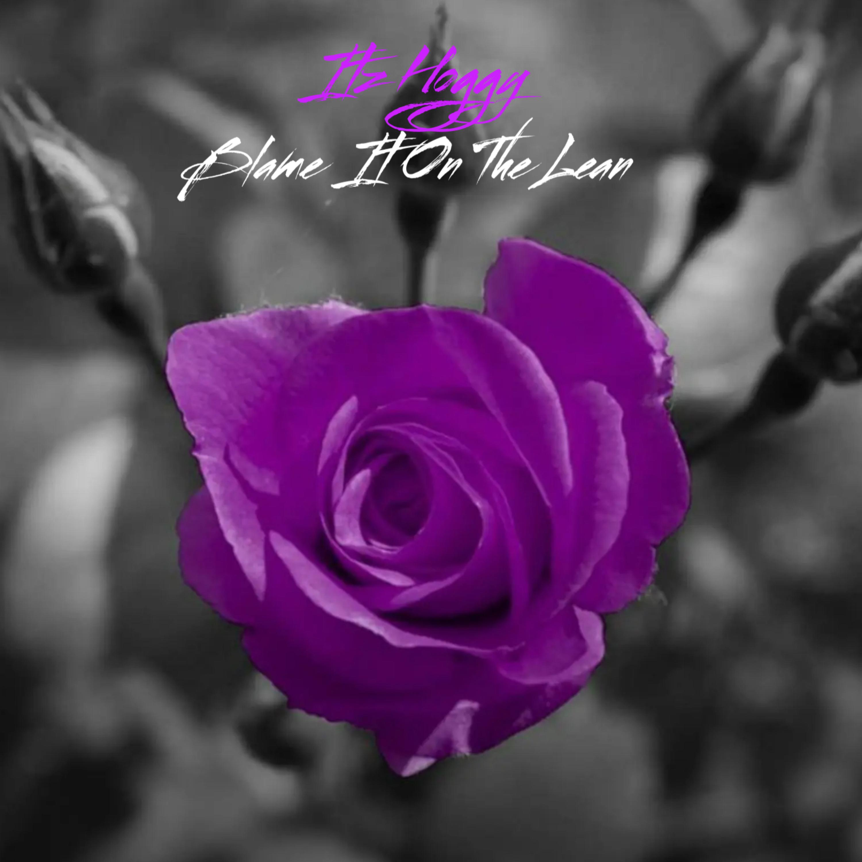 Blame It On The Lean by Itz Hoggy cover art