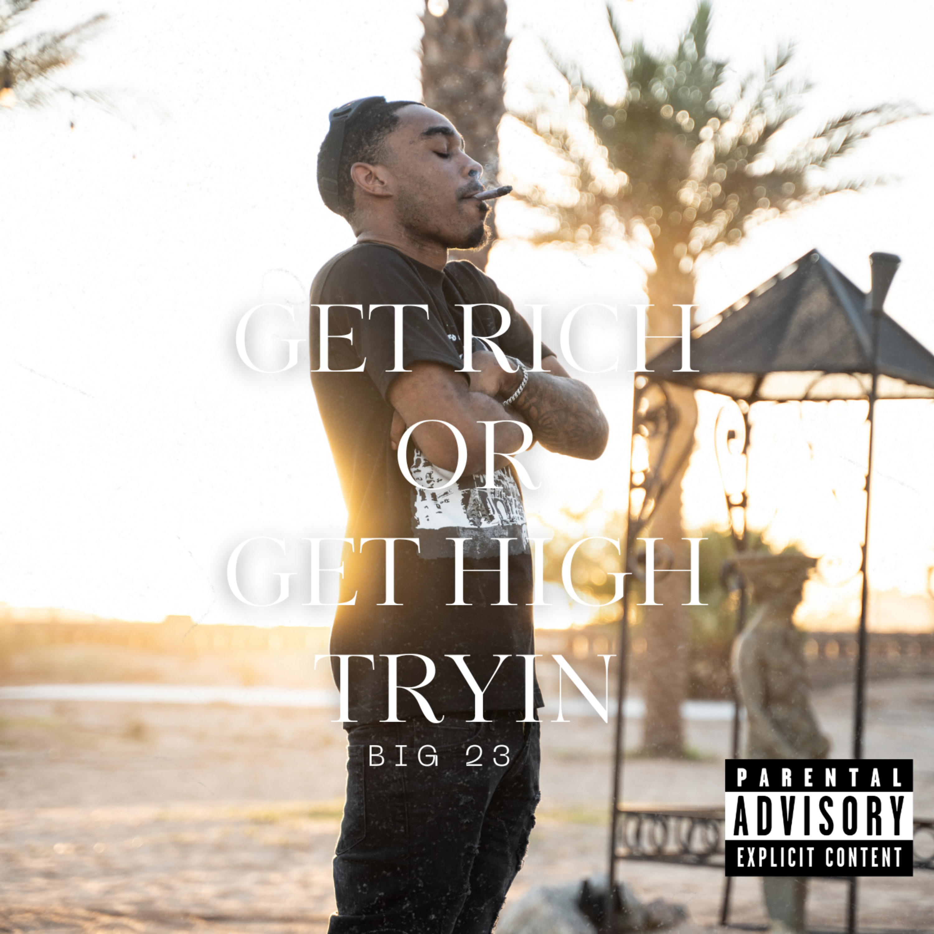 GET RICH OR GET HIGH TRYIN artwork