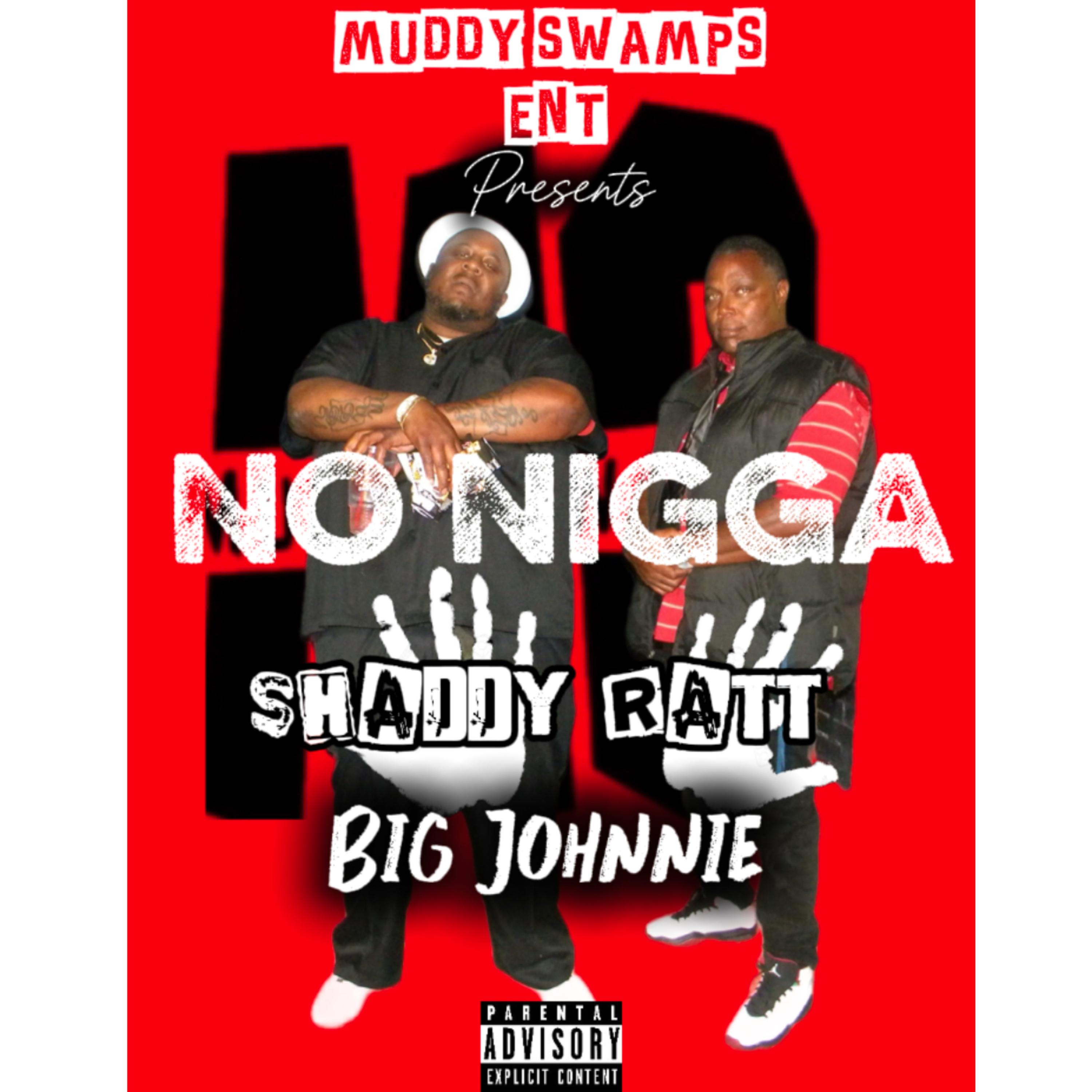 NO NIGGA artwork