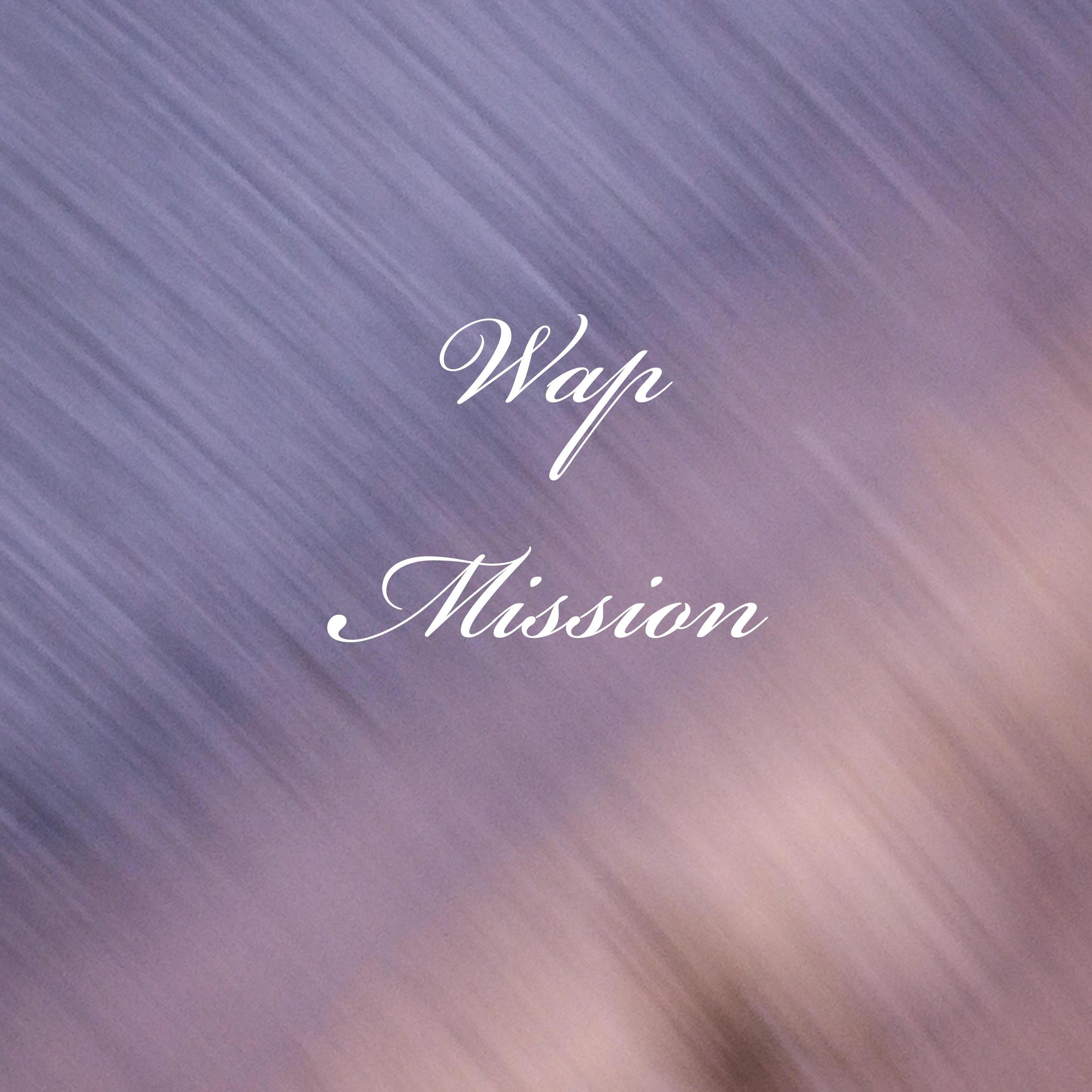 Wap Mission artwork