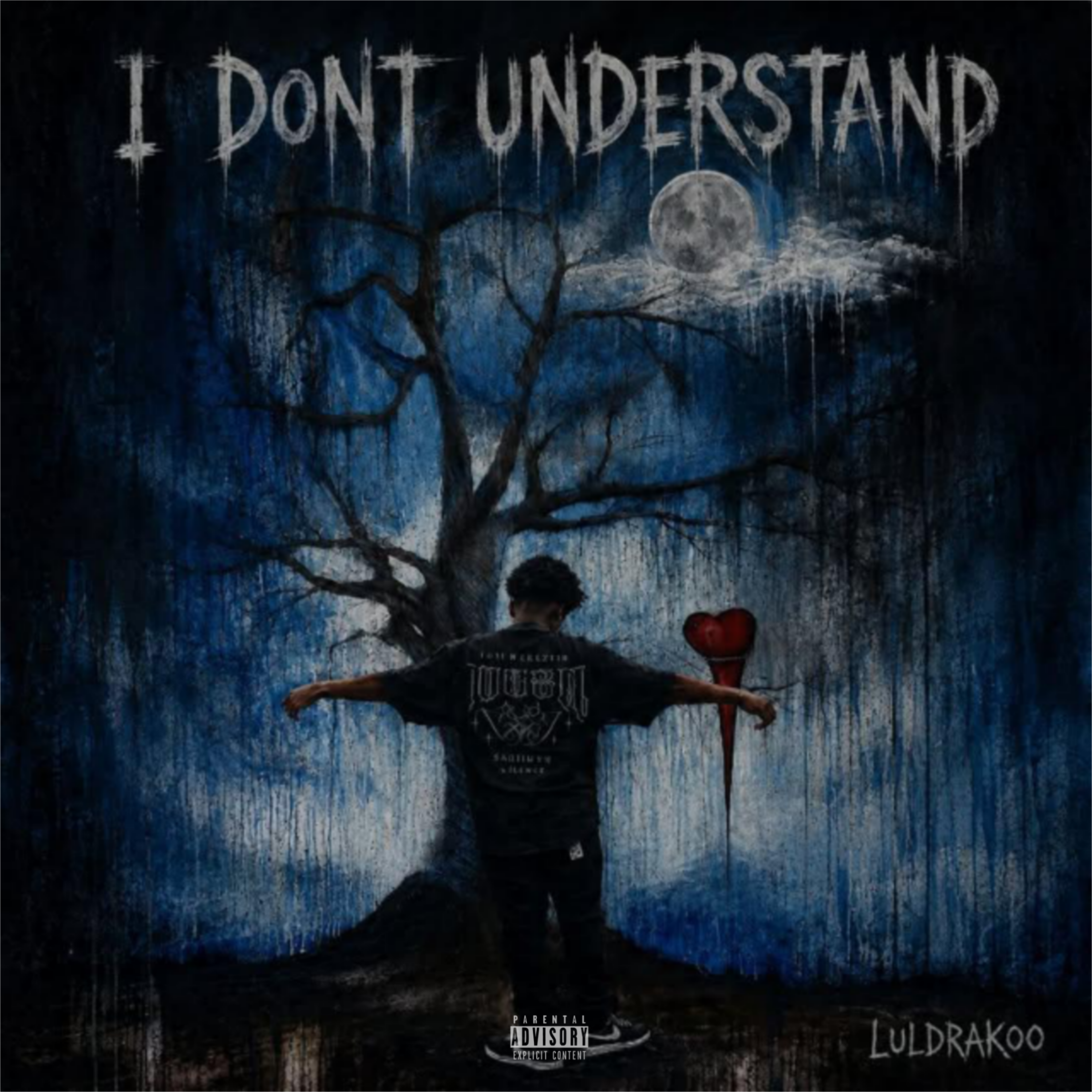 I Don't Understand by Luldrakoo cover art