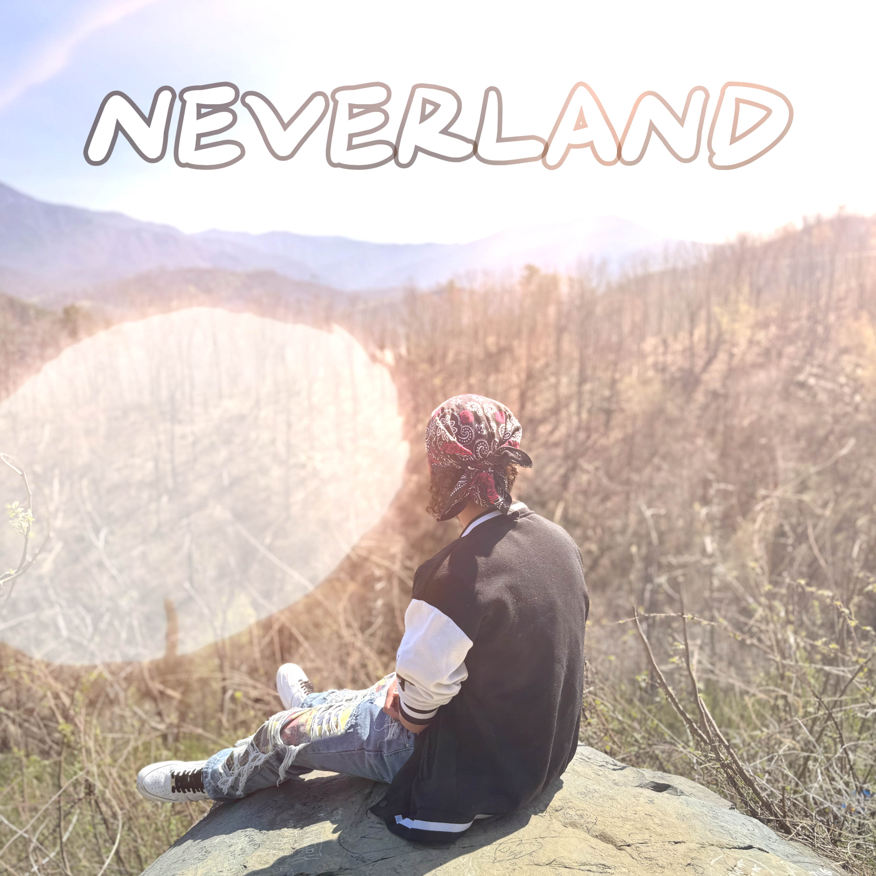 Neverland artwork