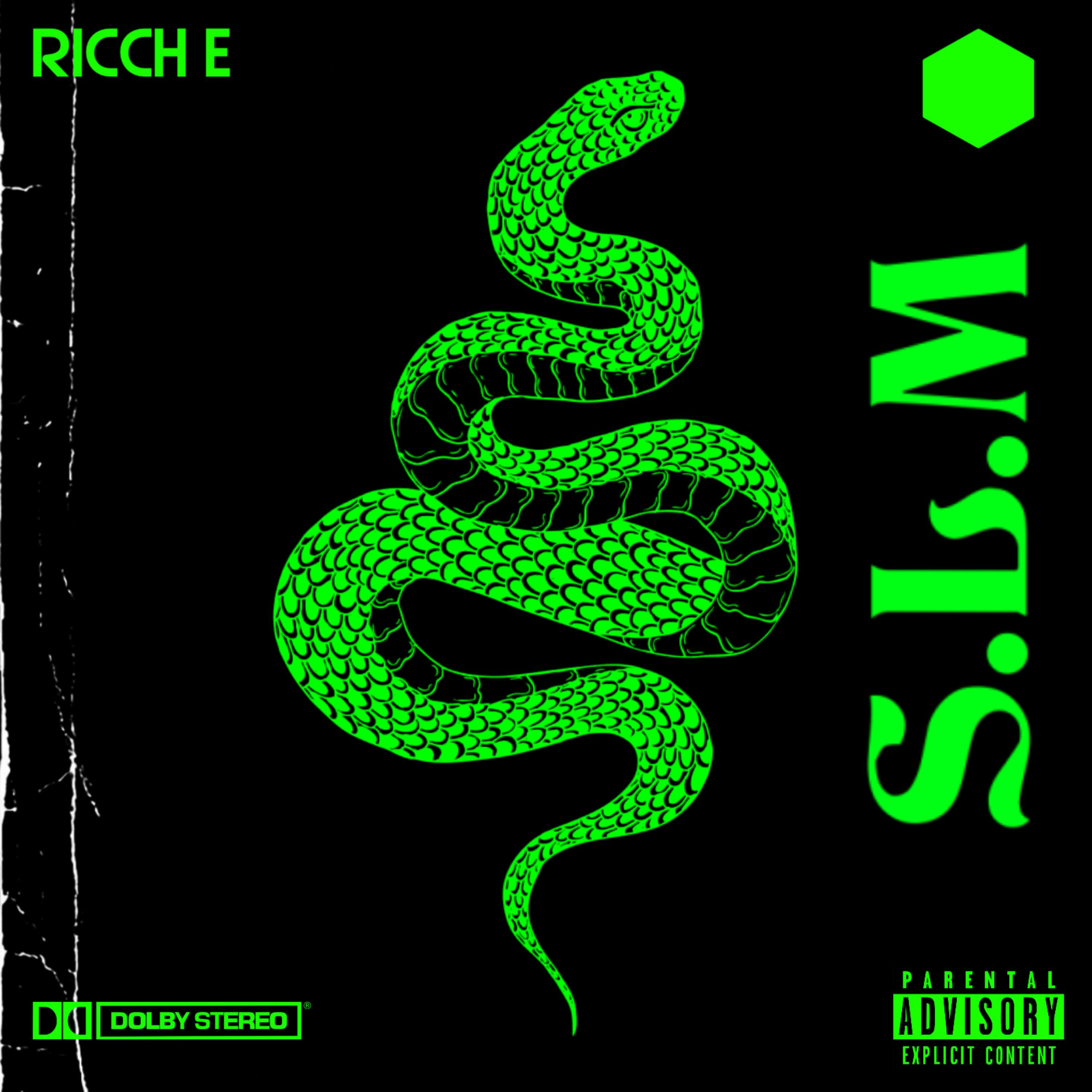S.L.M artwork